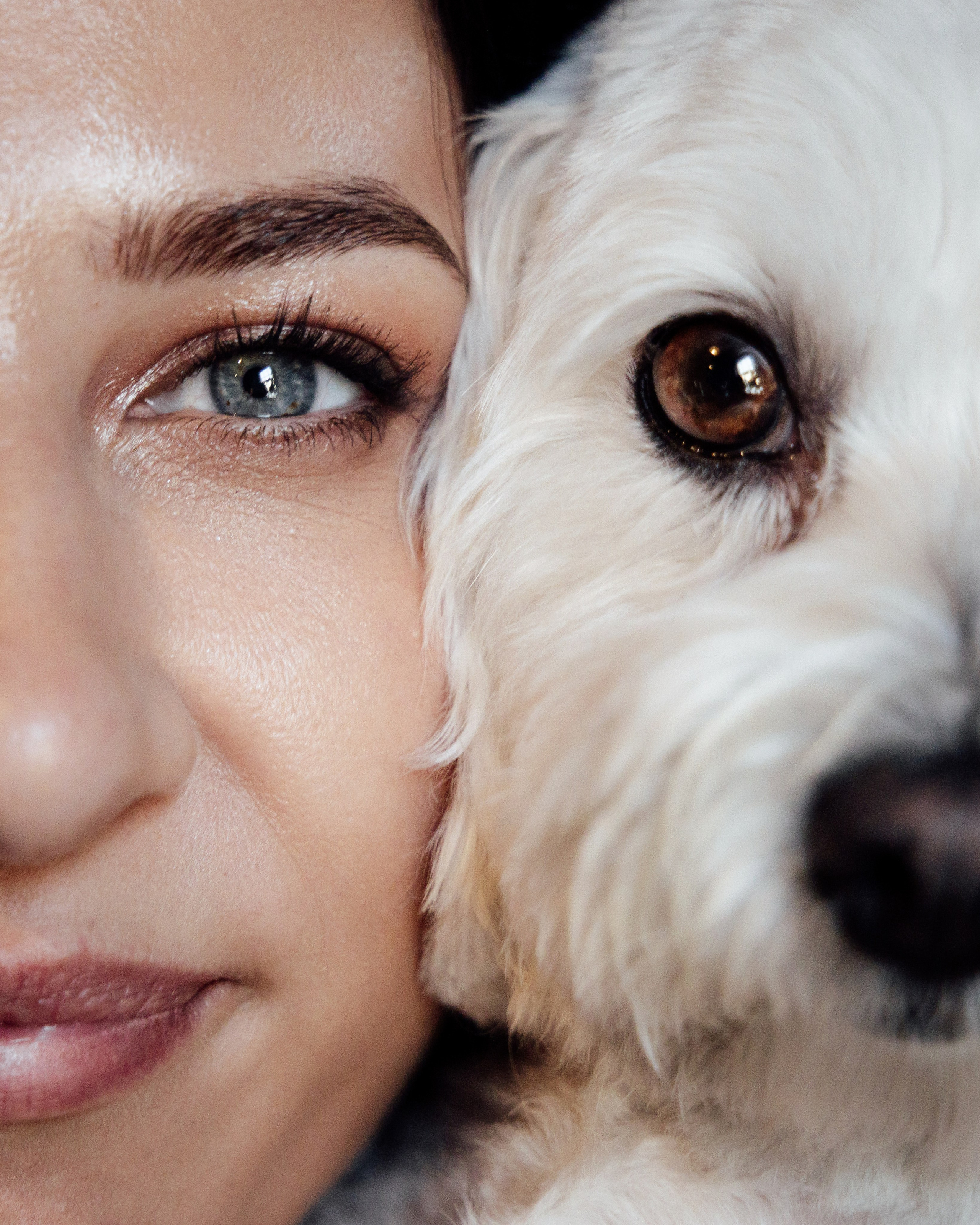 Chelsea Old Town Hall — Marta & Alexander. Timeless Wedding & Event Photography — based London, working across Europe