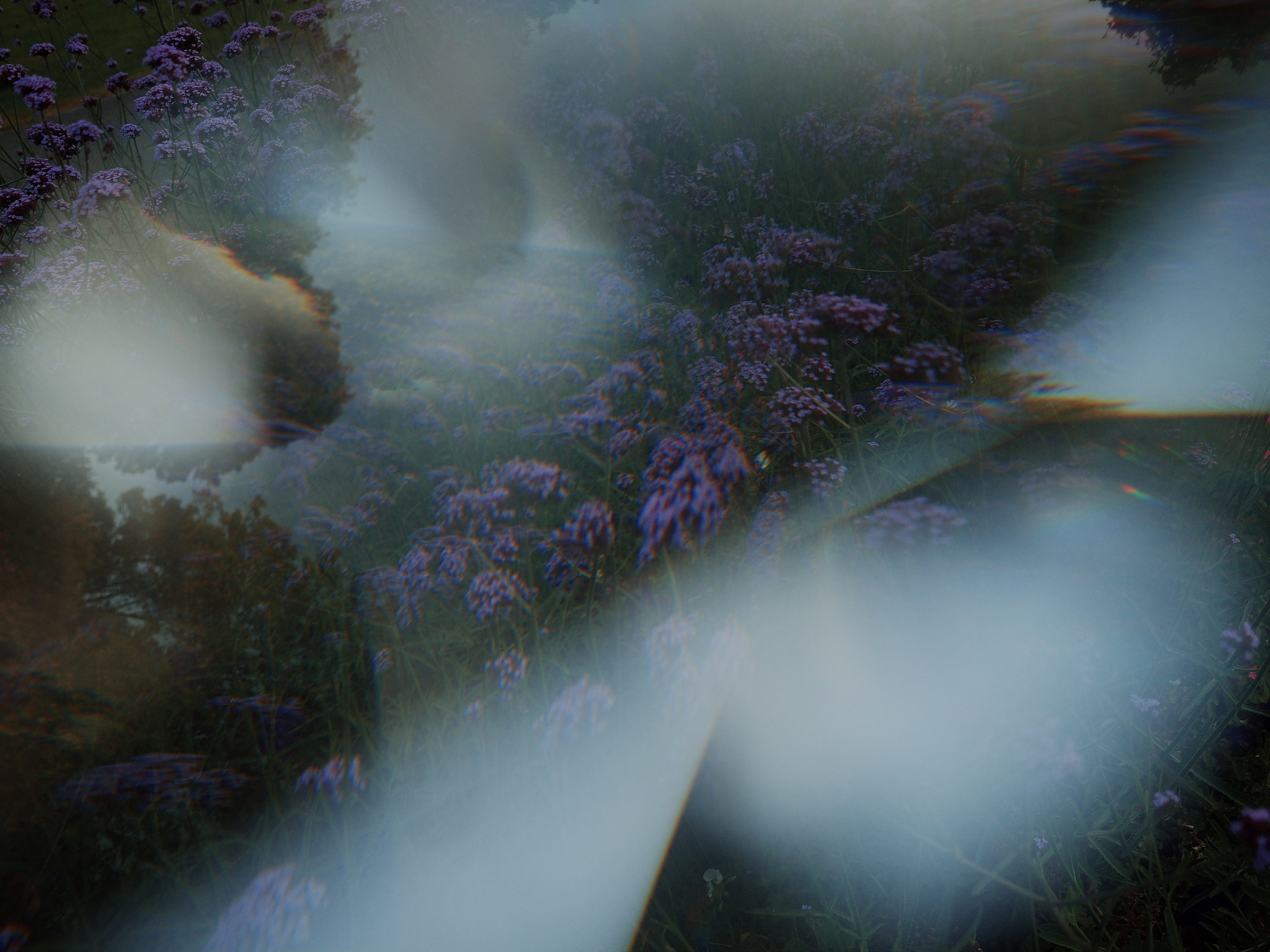 Garden of Forking Paths. Виктория Дини. Арт-фотография