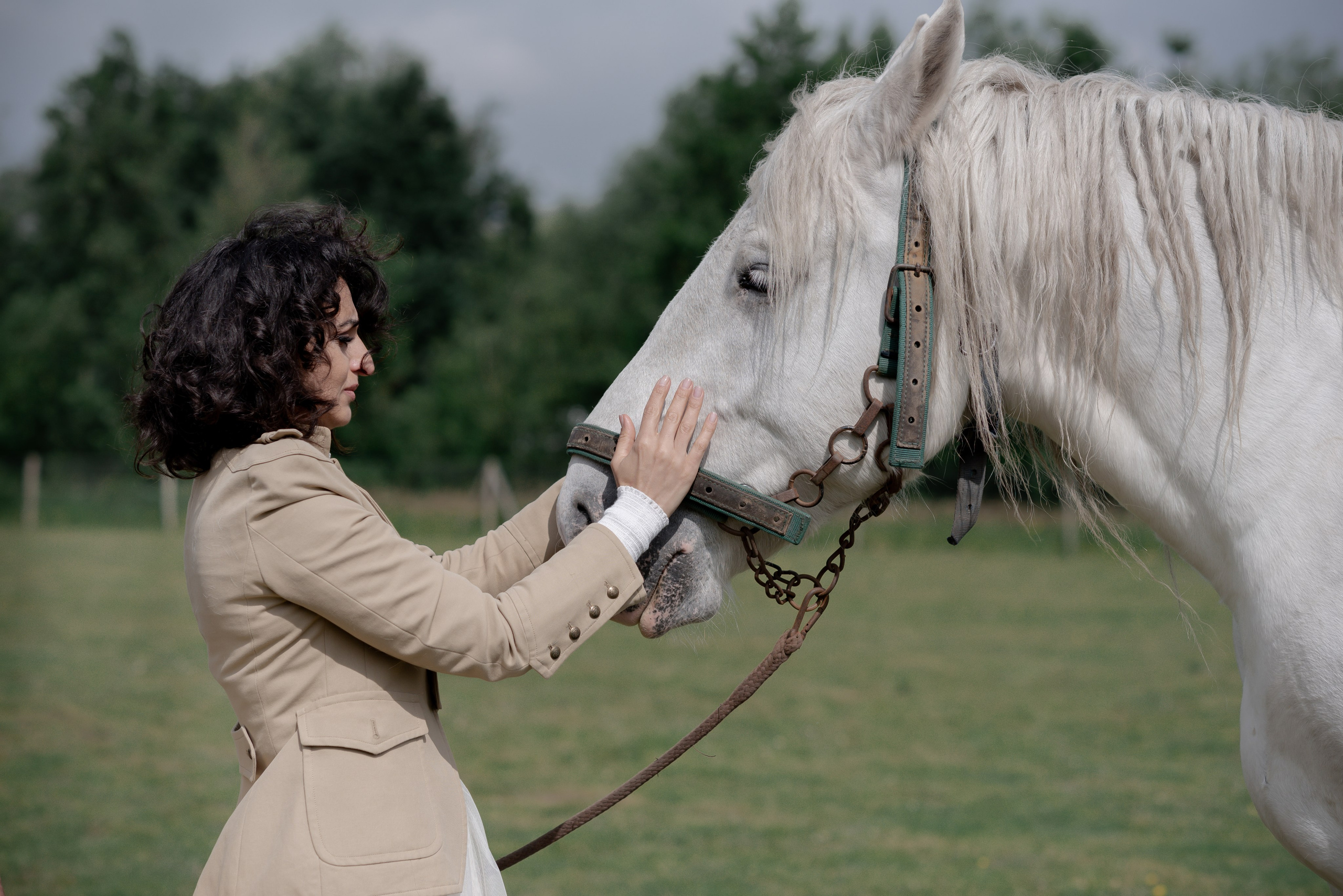 Photoshoot with Horses. Professional Photograher, Antwerpen/Belgium