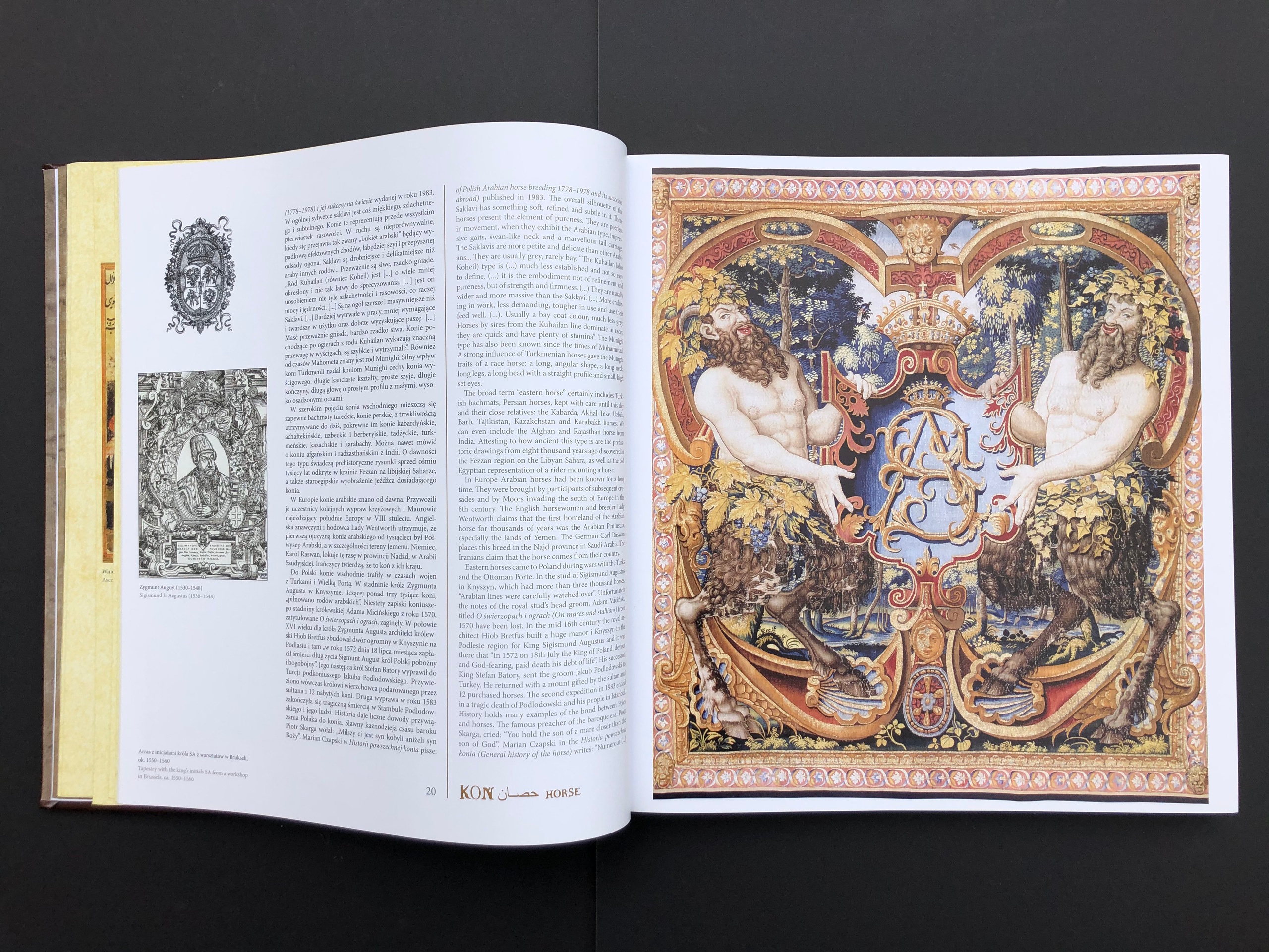 “HORSE”. Andrzej Strumillo