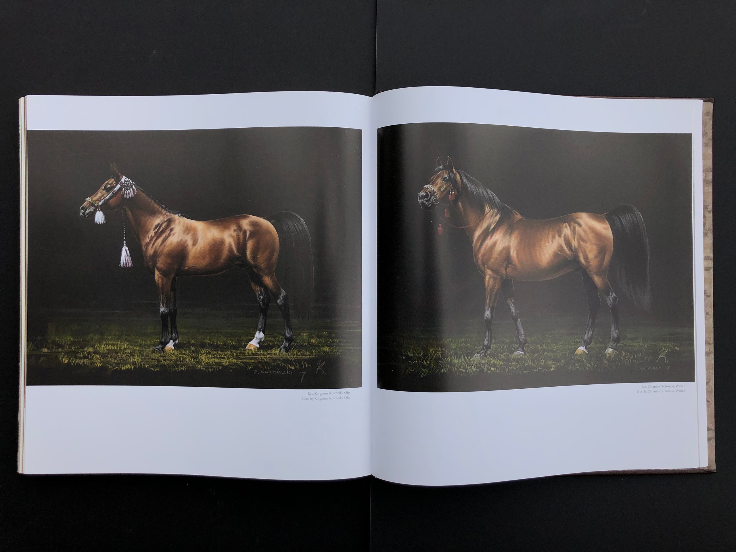 “HORSE”. Andrzej Strumillo