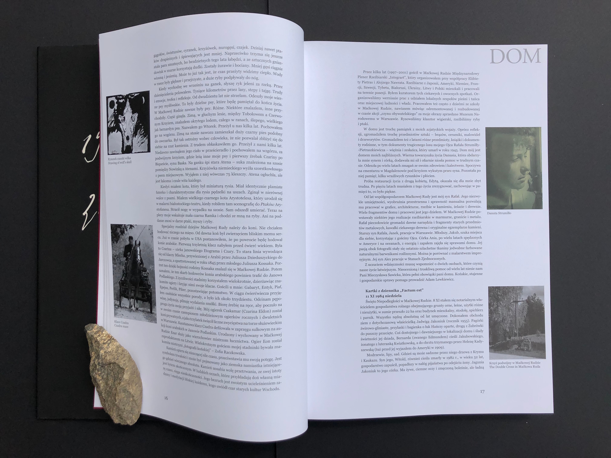 „DOM”. Andrzej Strumiłło - Wybitny polski artysta