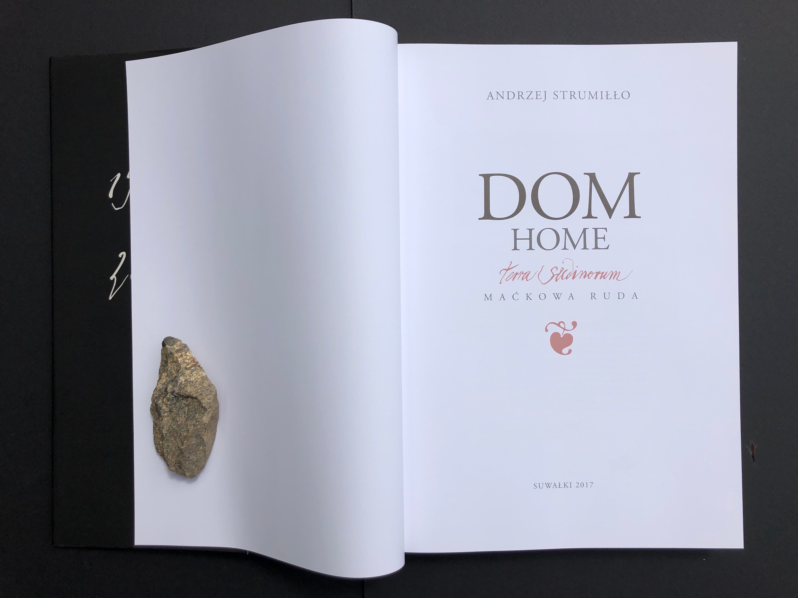 „DOM”. Andrzej Strumiłło - Wybitny polski artysta