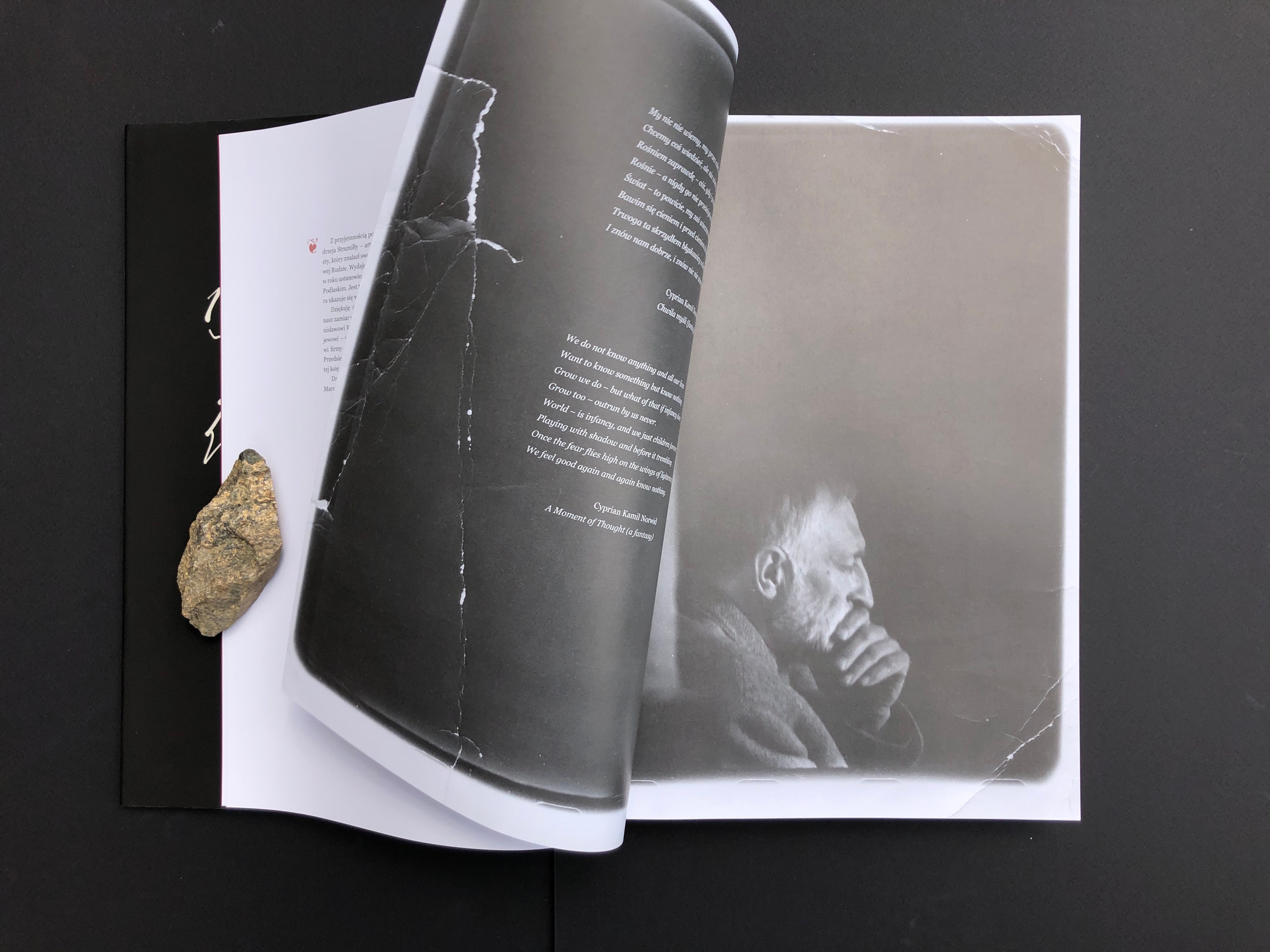 „DOM”. Andrzej Strumiłło - Wybitny polski artysta