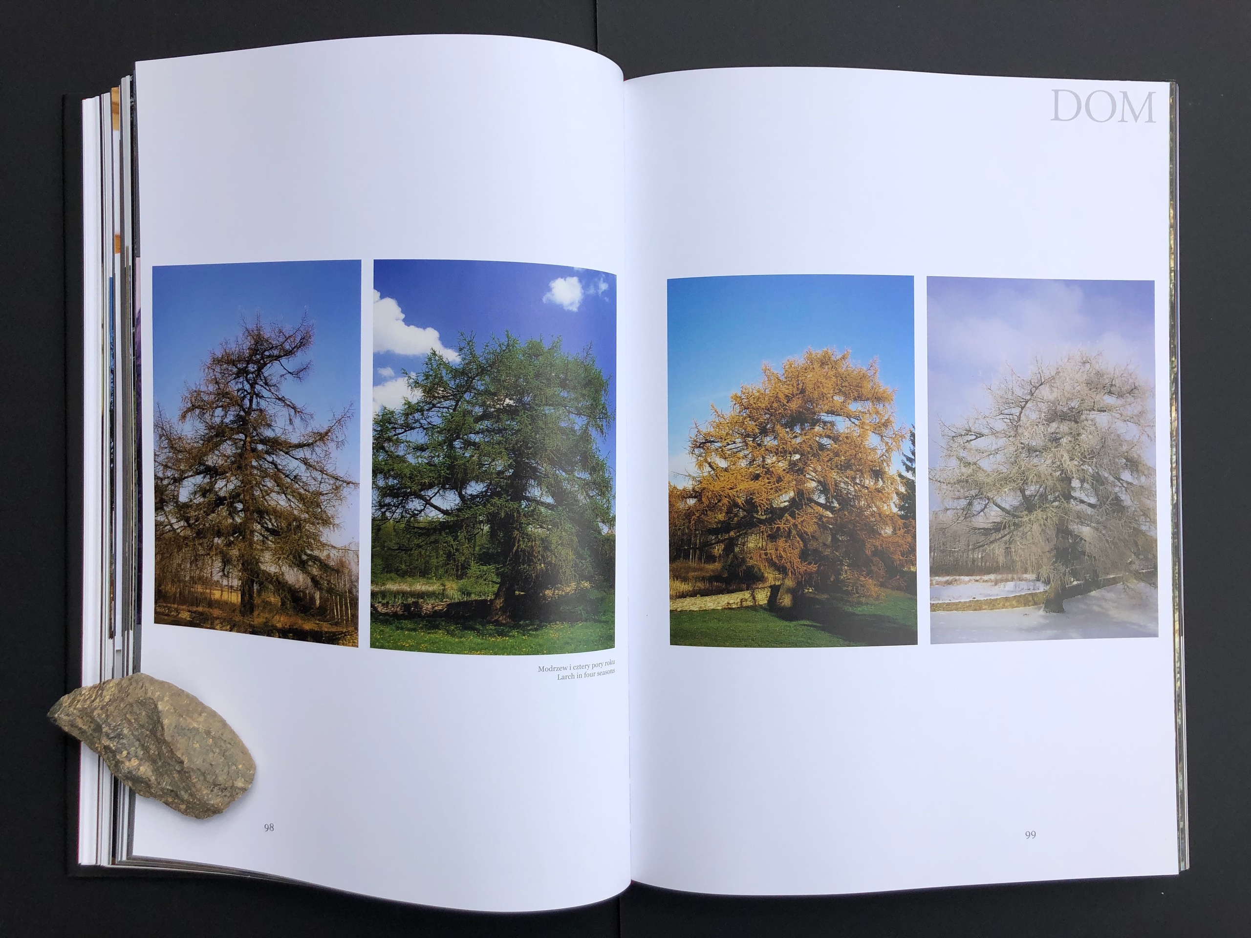 „DOM”. Andrzej Strumiłło - Wybitny polski artysta