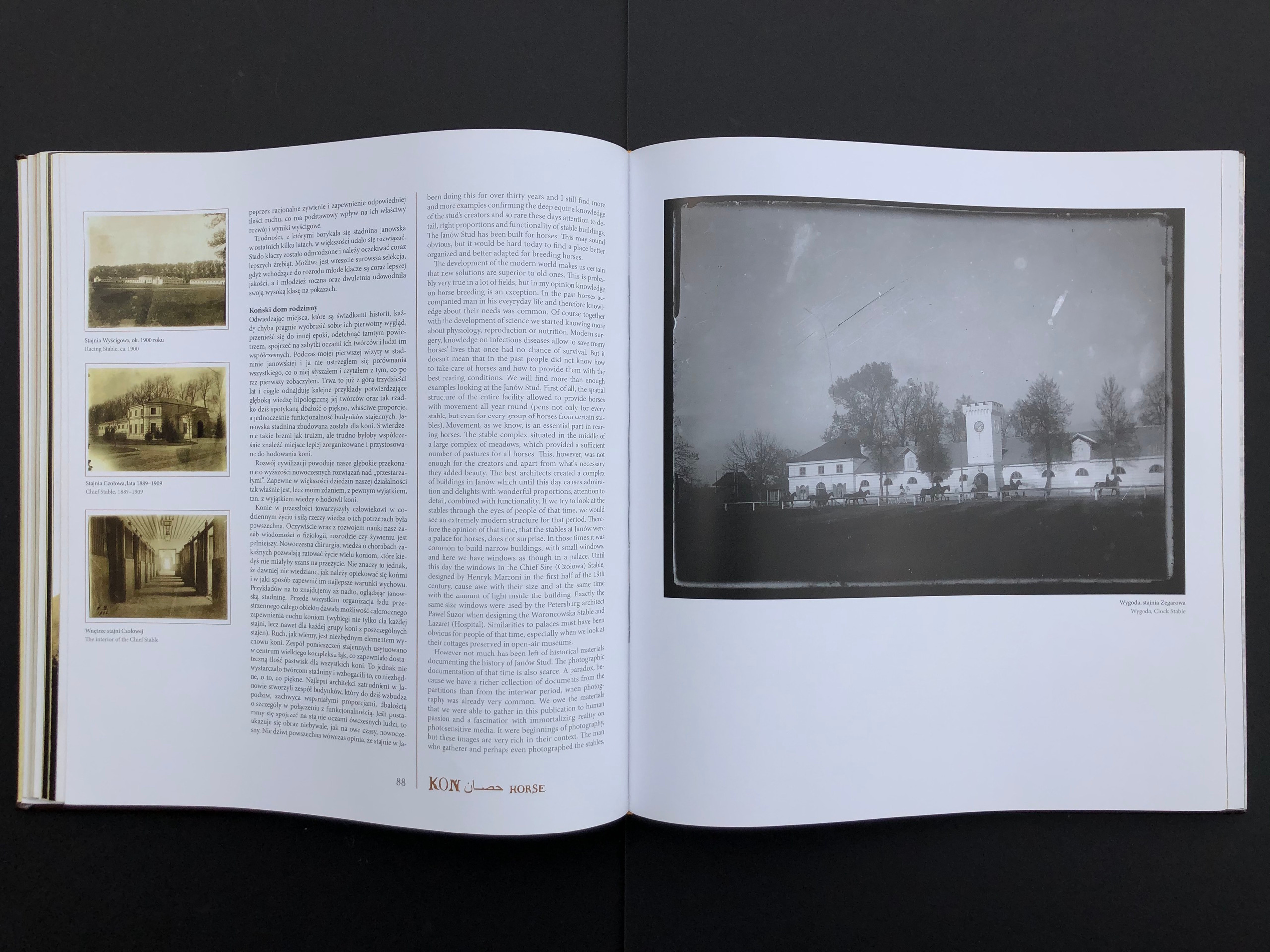 “HORSE”. Andrzej Strumillo