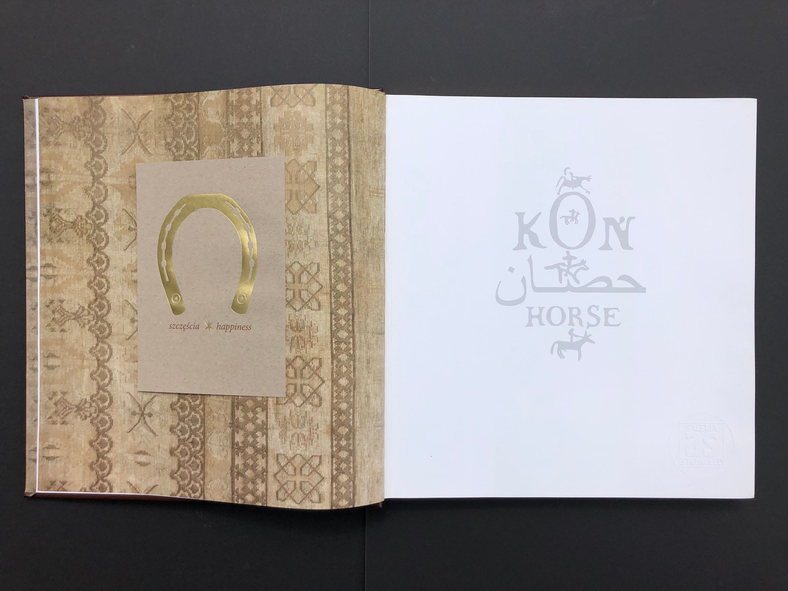 “HORSE”. Andrzej Strumillo