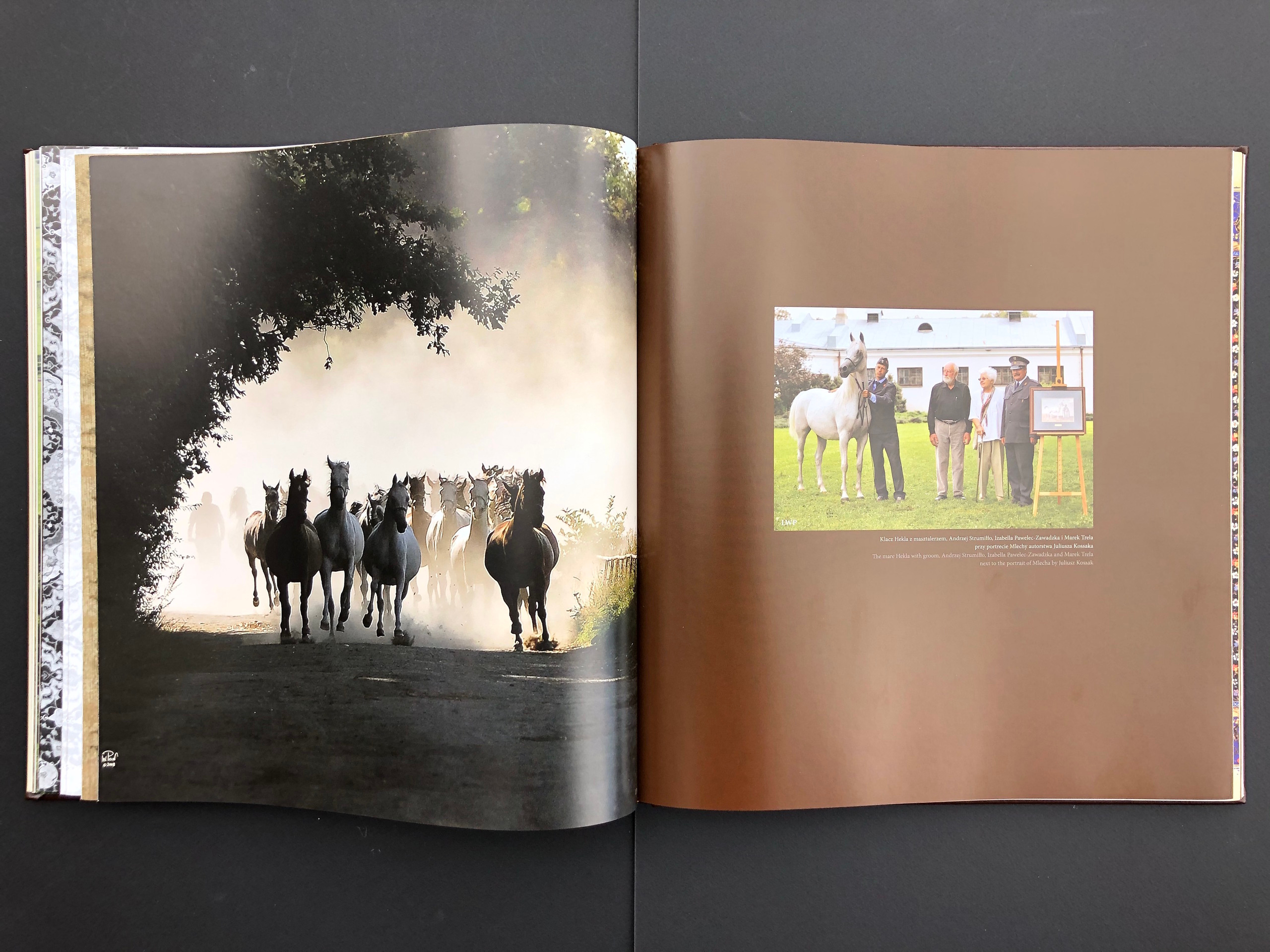 “HORSE”. Andrzej Strumillo