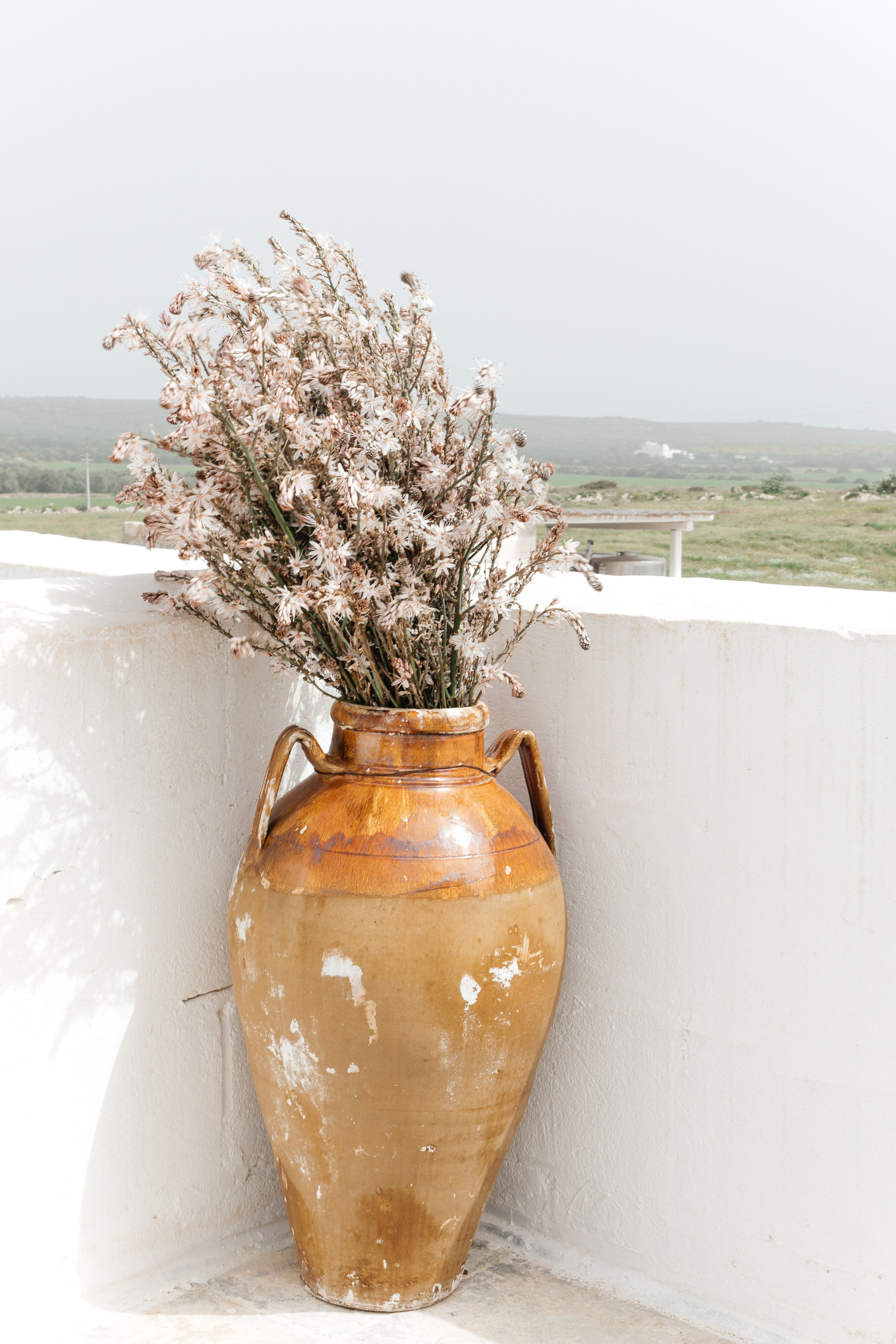 Alyssa&Sean. Весільний фотограф Вікторія Саврук
