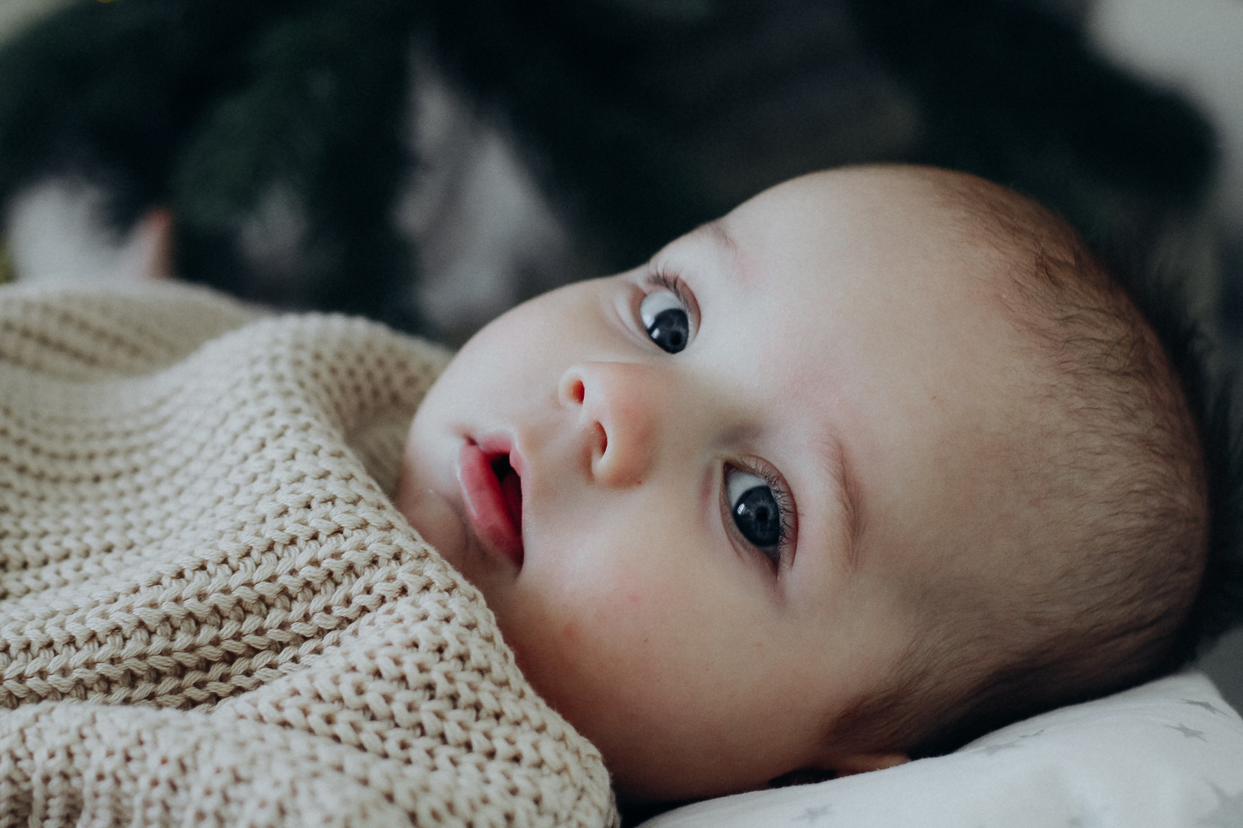 Christmas for Rima and her son. Iryna Zhyvora | Photographer | Stockholm