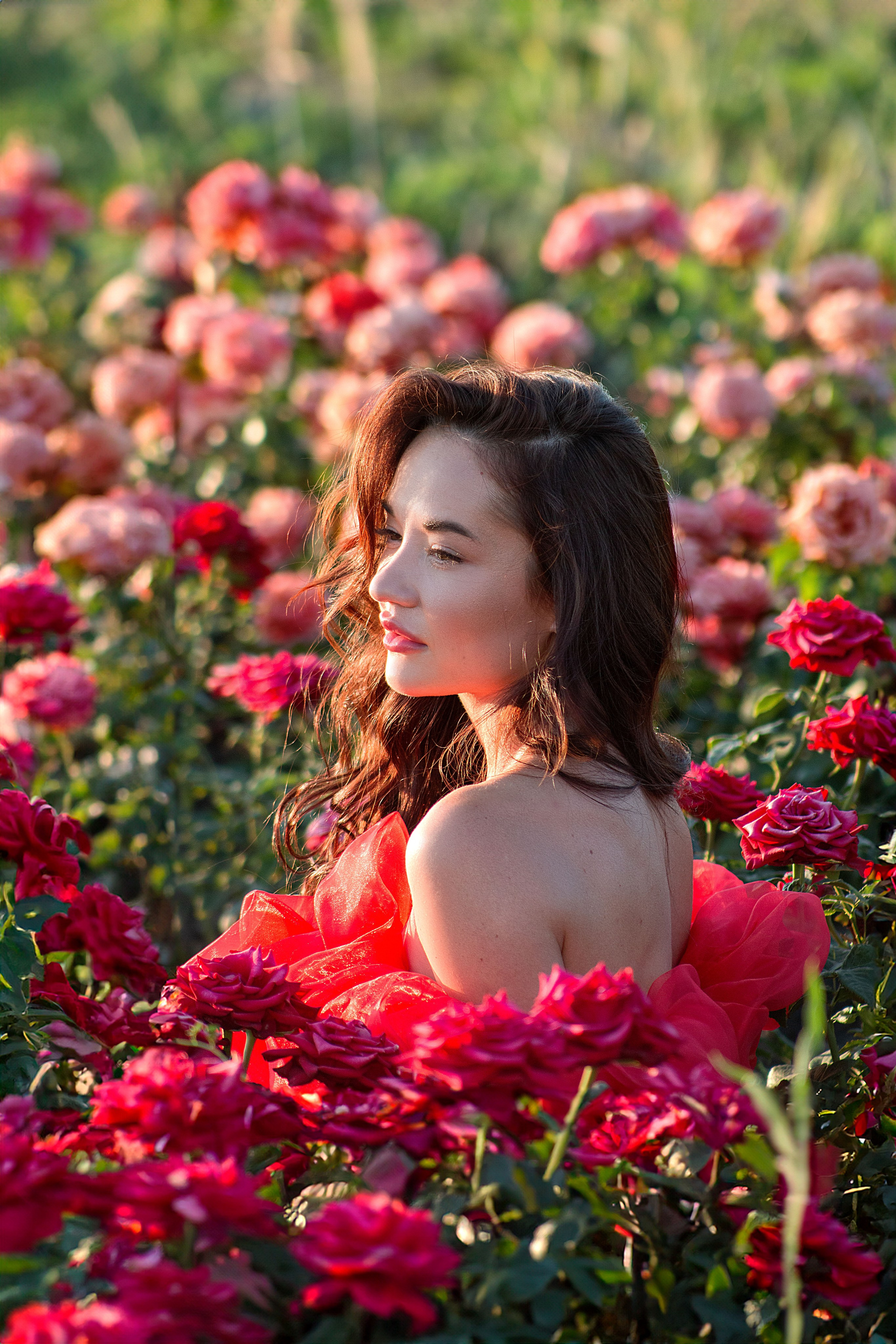 Розы. Детский и семейный фотограф в г. Бельцы