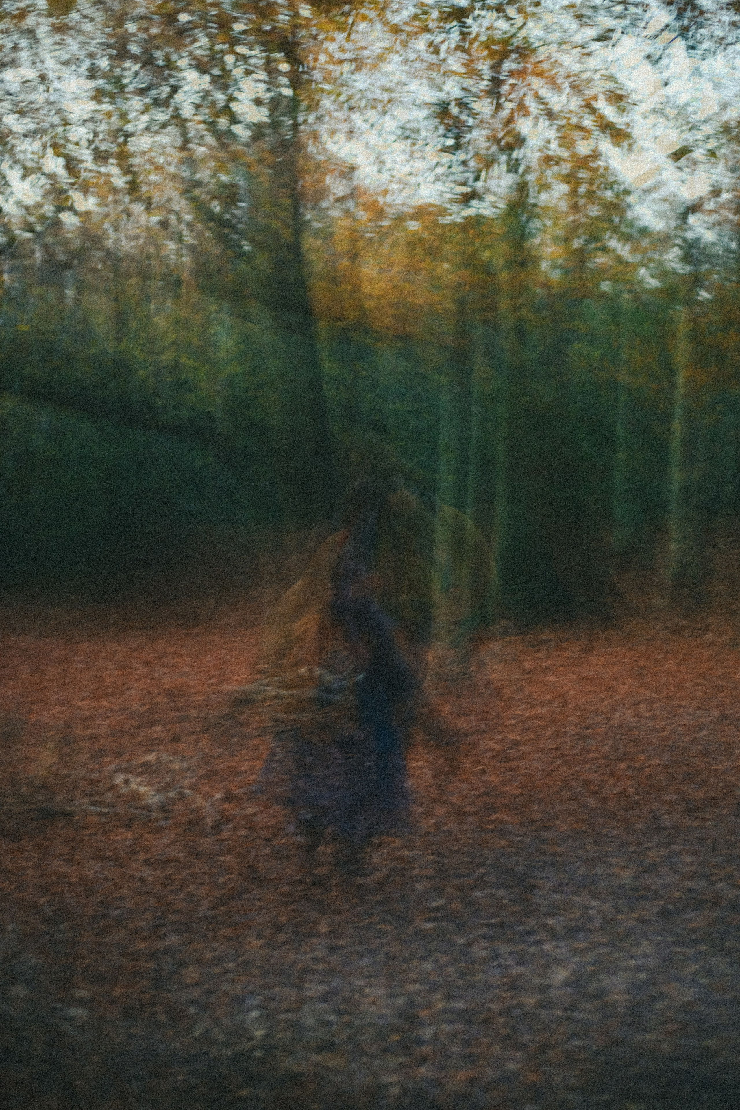 Zoe Hampstead Heath. Victoria Dini. Art photography in London / Folkestone, UK