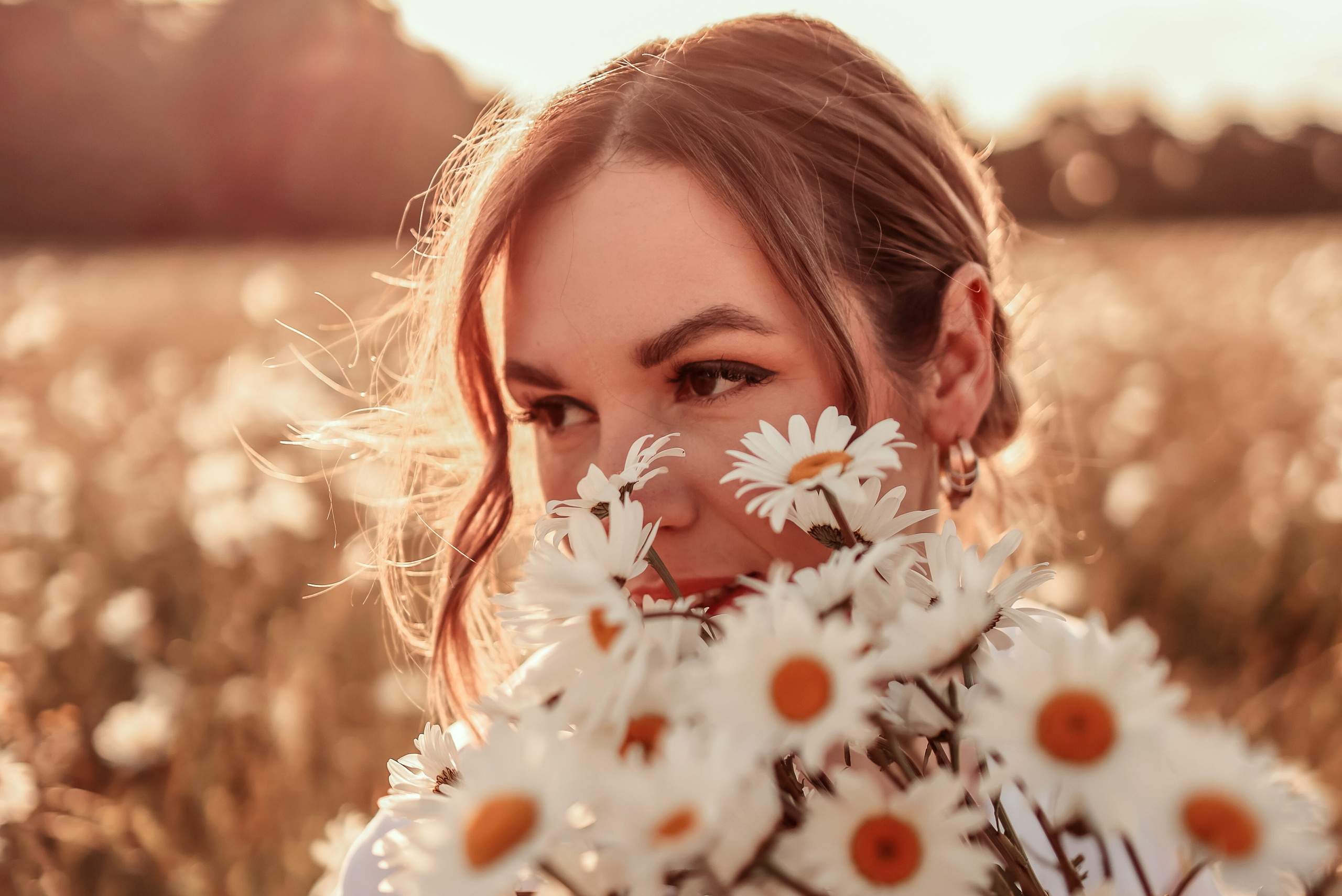 Daises. Photographer Co Dublin, Balbriggan — Agata Maliseva