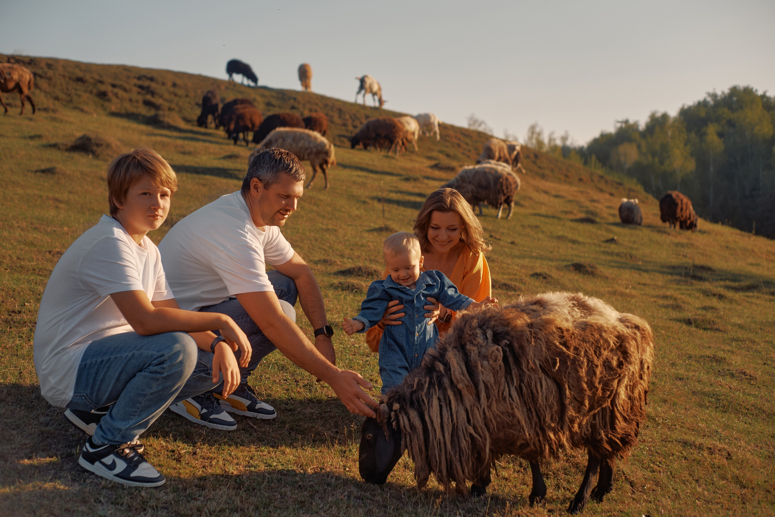 Sesja zdjęciowa na farmie z owcami | Fotograf Warszawa. Portrait & Fashion Photographer | Сannes, Paris, Monaco, Dubai, Kyiv — - Alisa Postnykova
