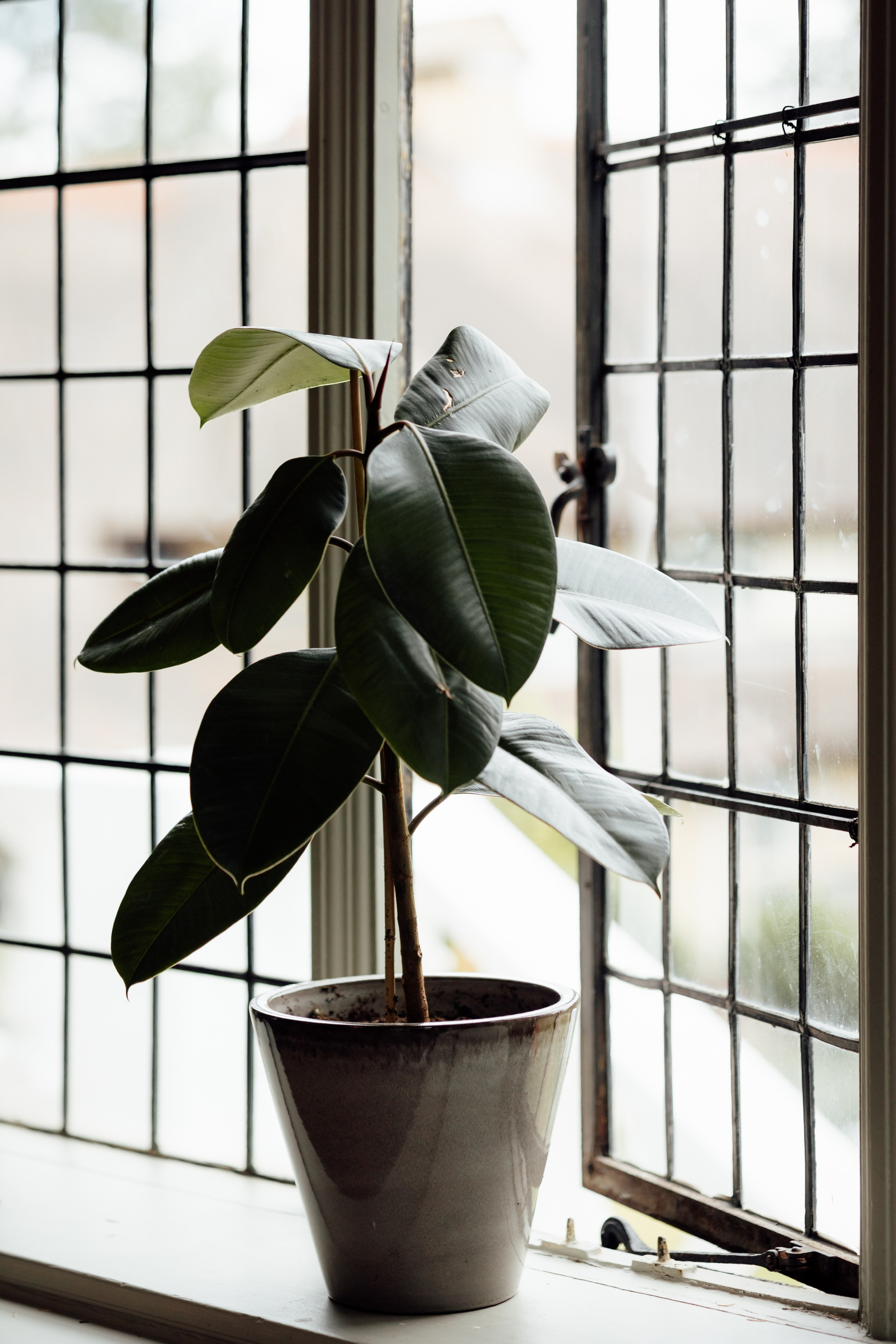 Chloe & Andre -The Manor Elstree, Hertfordshire. Timeless Wedding & Event Photography — based London, working across Europe