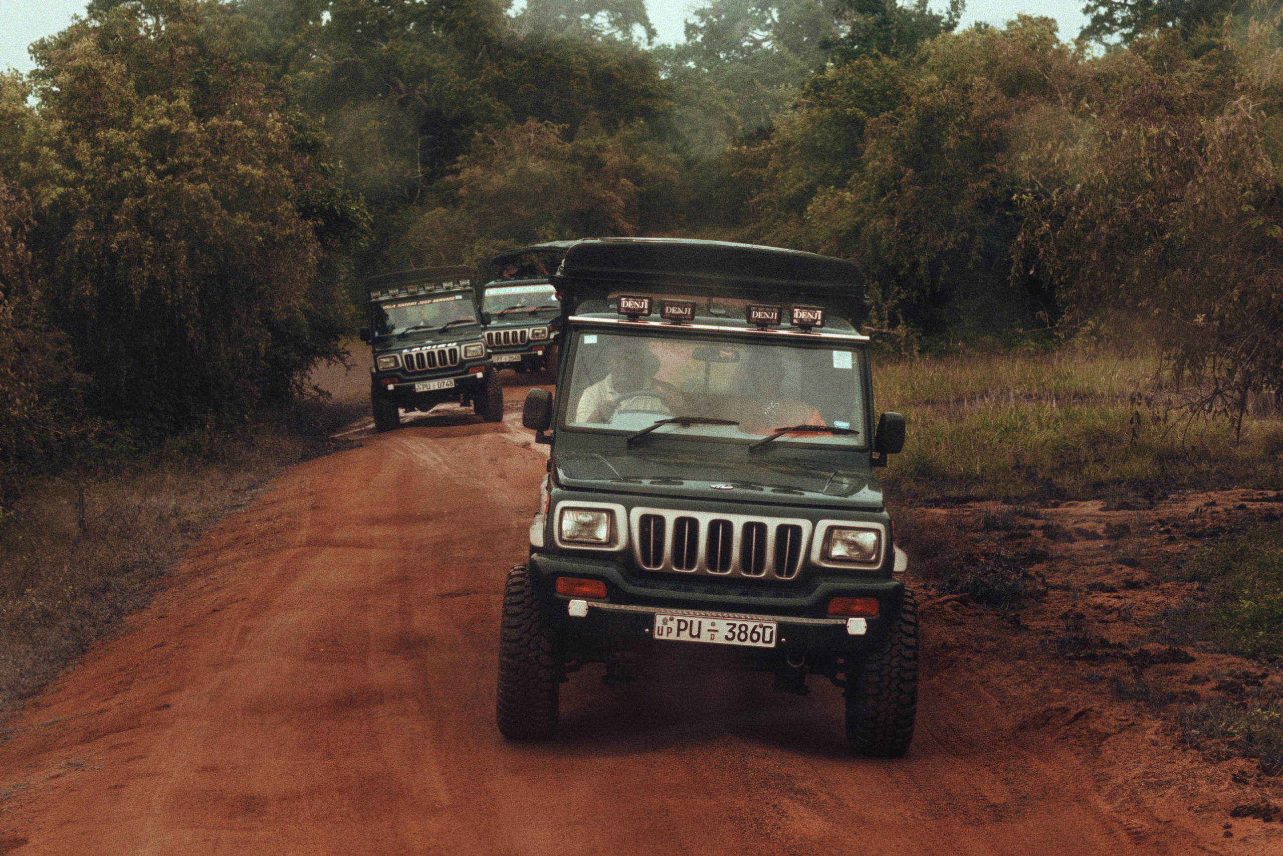 Ыы. Фотограф Андрей Друк