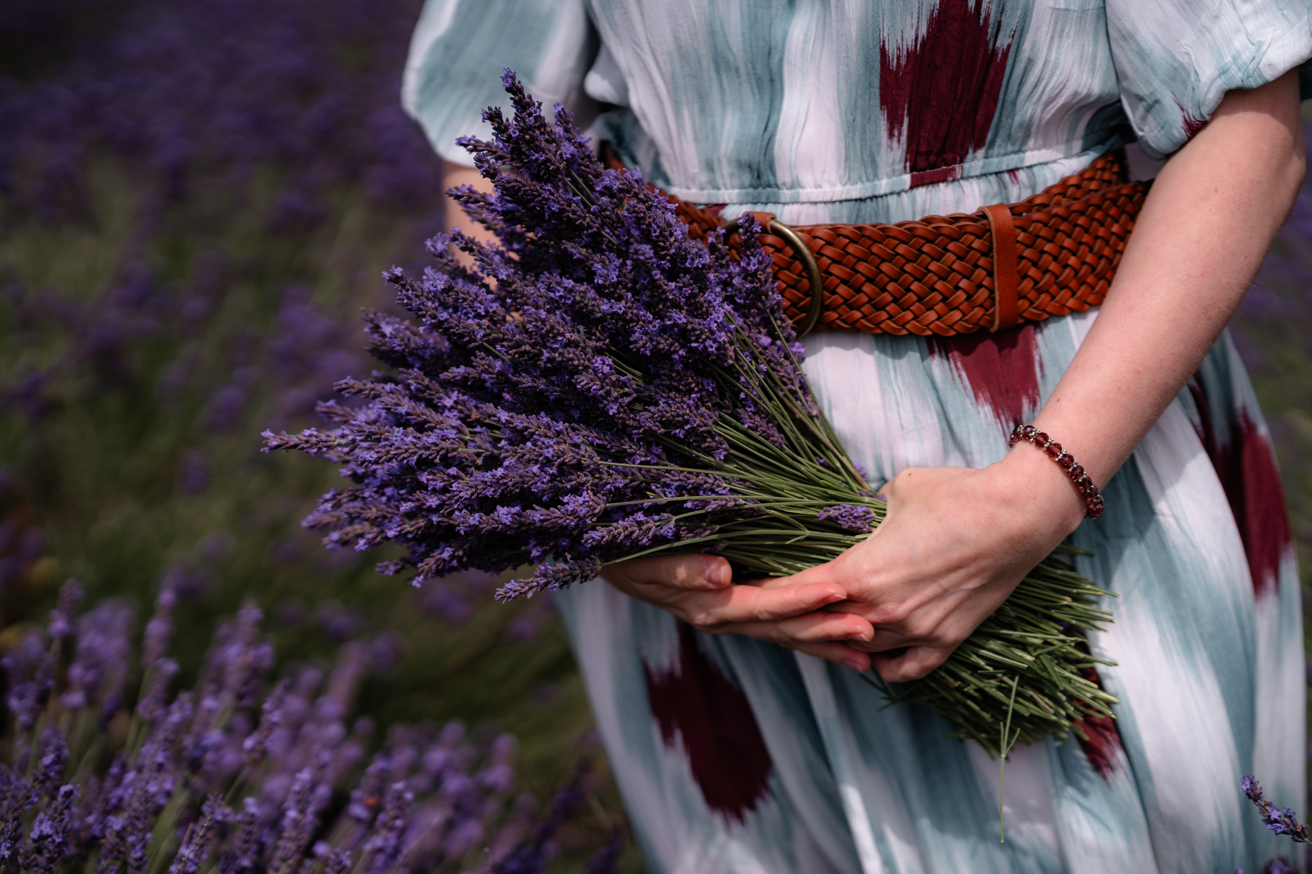 Lavender. Tonya Kyrylenko photographer in London