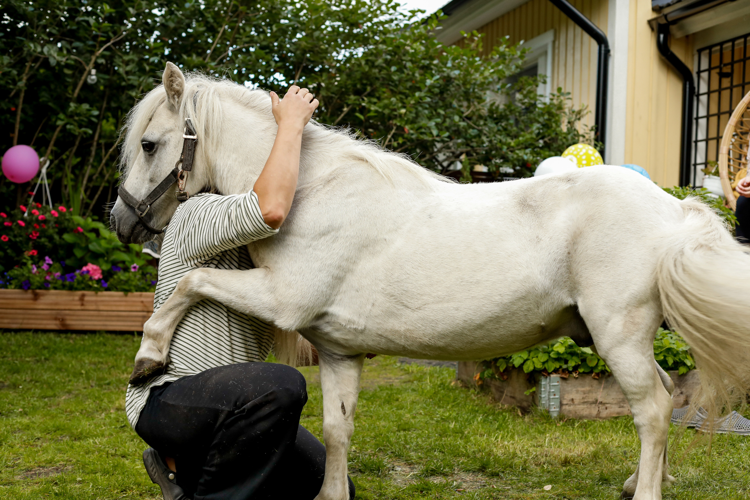 5 лет. Екатерина Мансур Портретный фотограф в Финляндии (Хельсинки и Уусима)