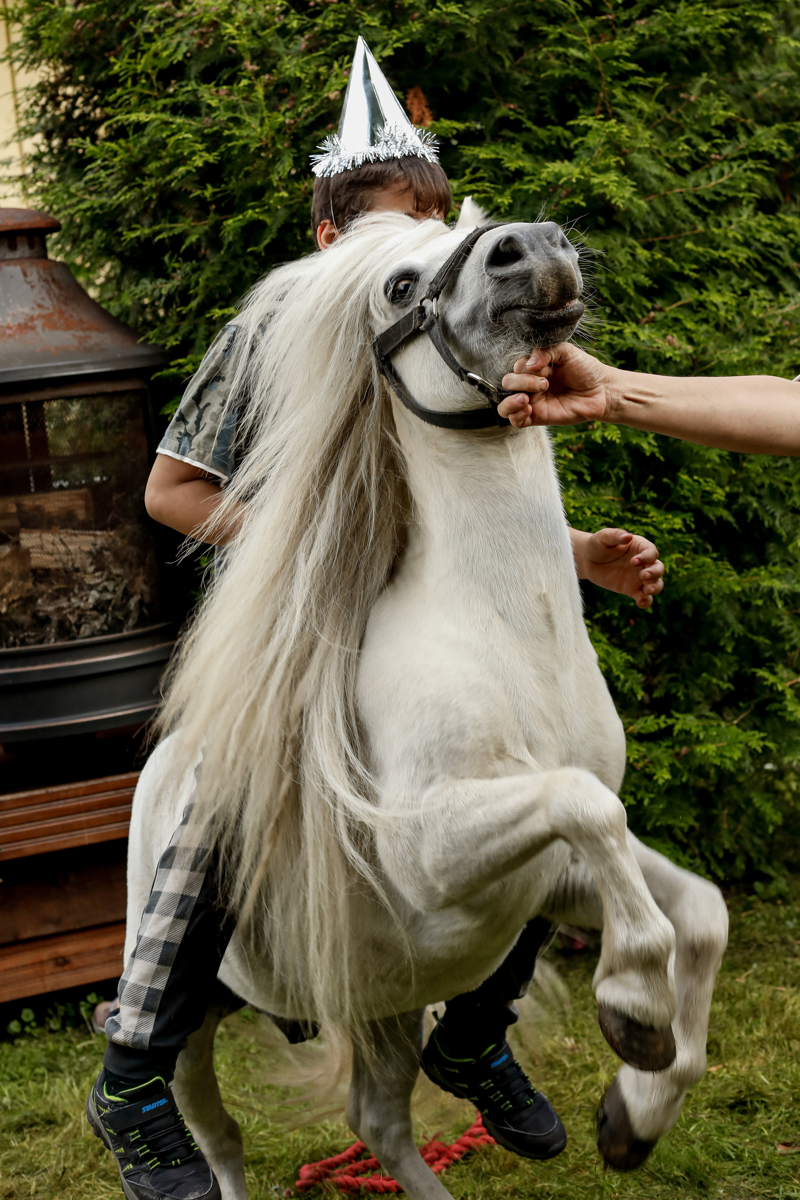 5 лет. Екатерина Мансур Портретный фотограф в Финляндии (Хельсинки и Уусима)