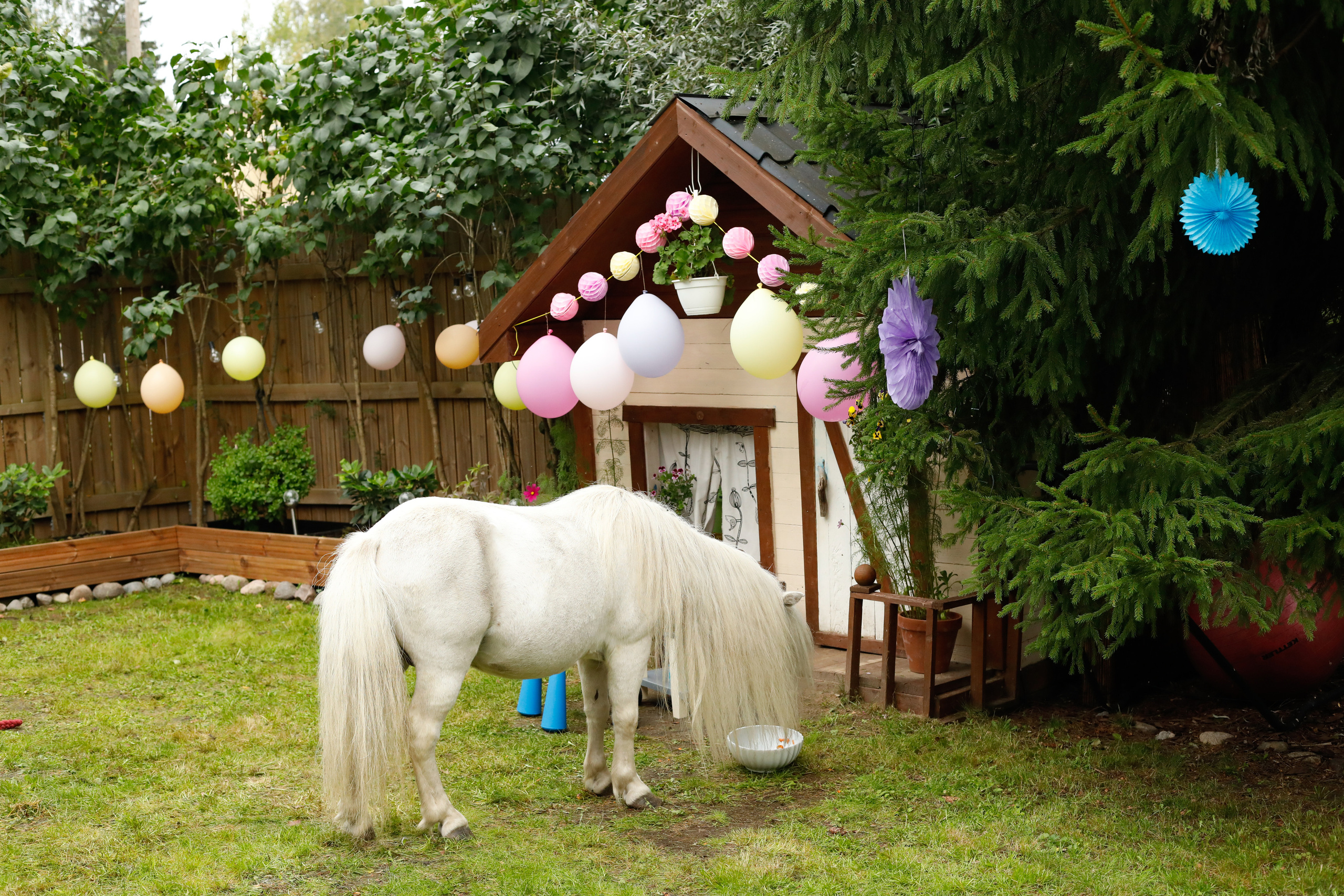 5 лет. Екатерина Мансур Портретный фотограф в Финляндии (Хельсинки и Уусима)