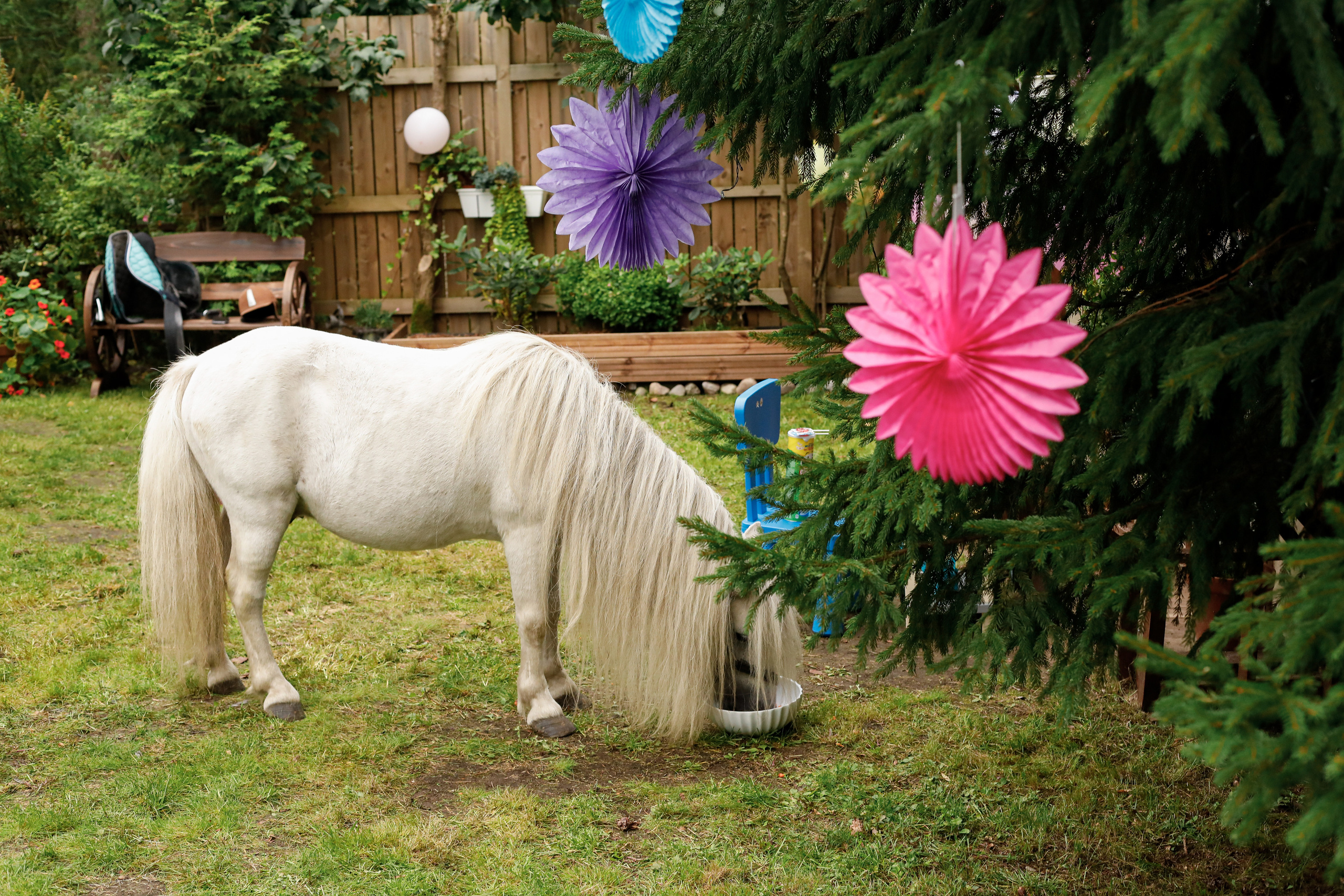 5 лет. Екатерина Мансур Портретный фотограф в Финляндии (Хельсинки и Уусима)