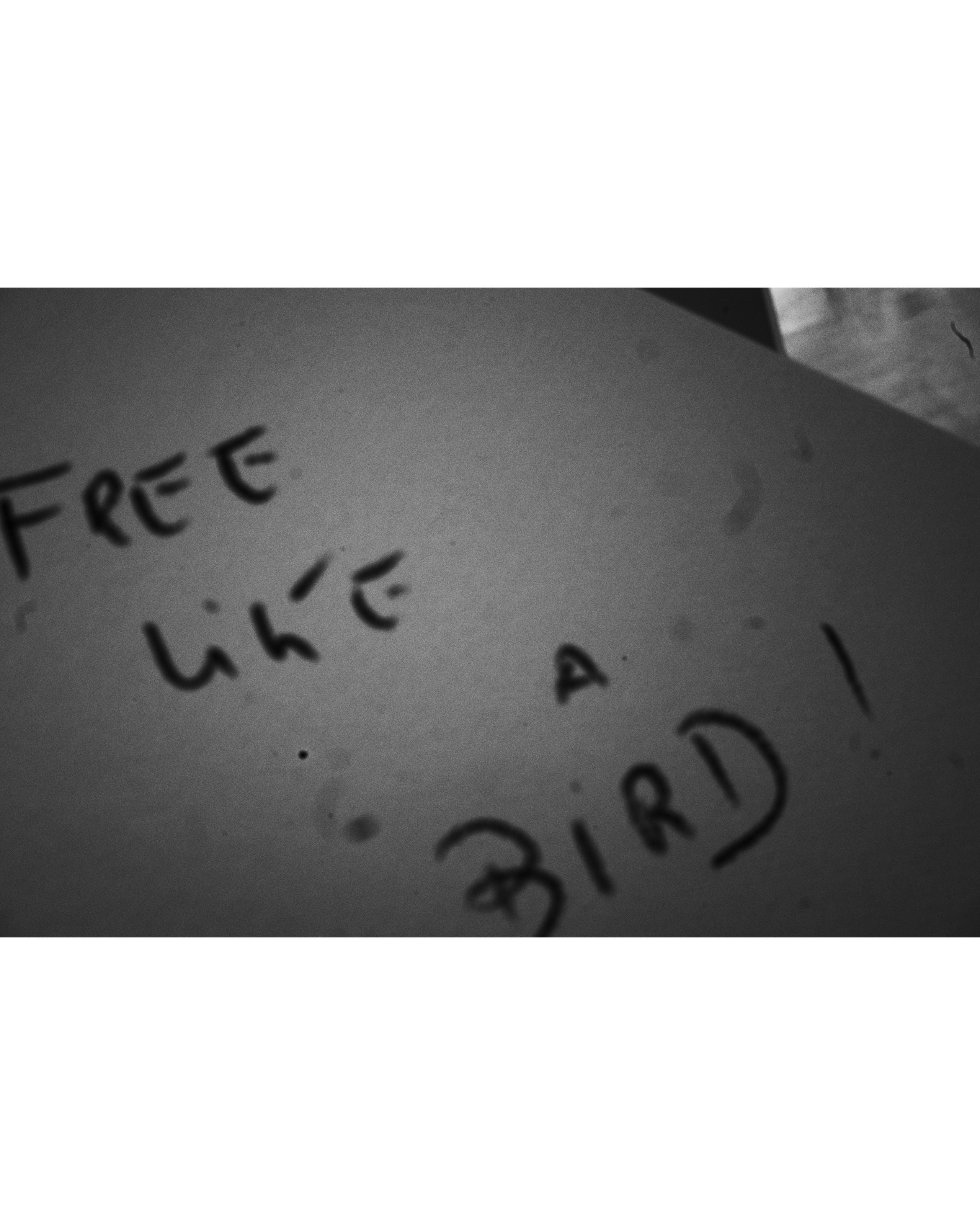 Art Touch performance. Victoria Dini. Art photography in London / Folkestone, UK