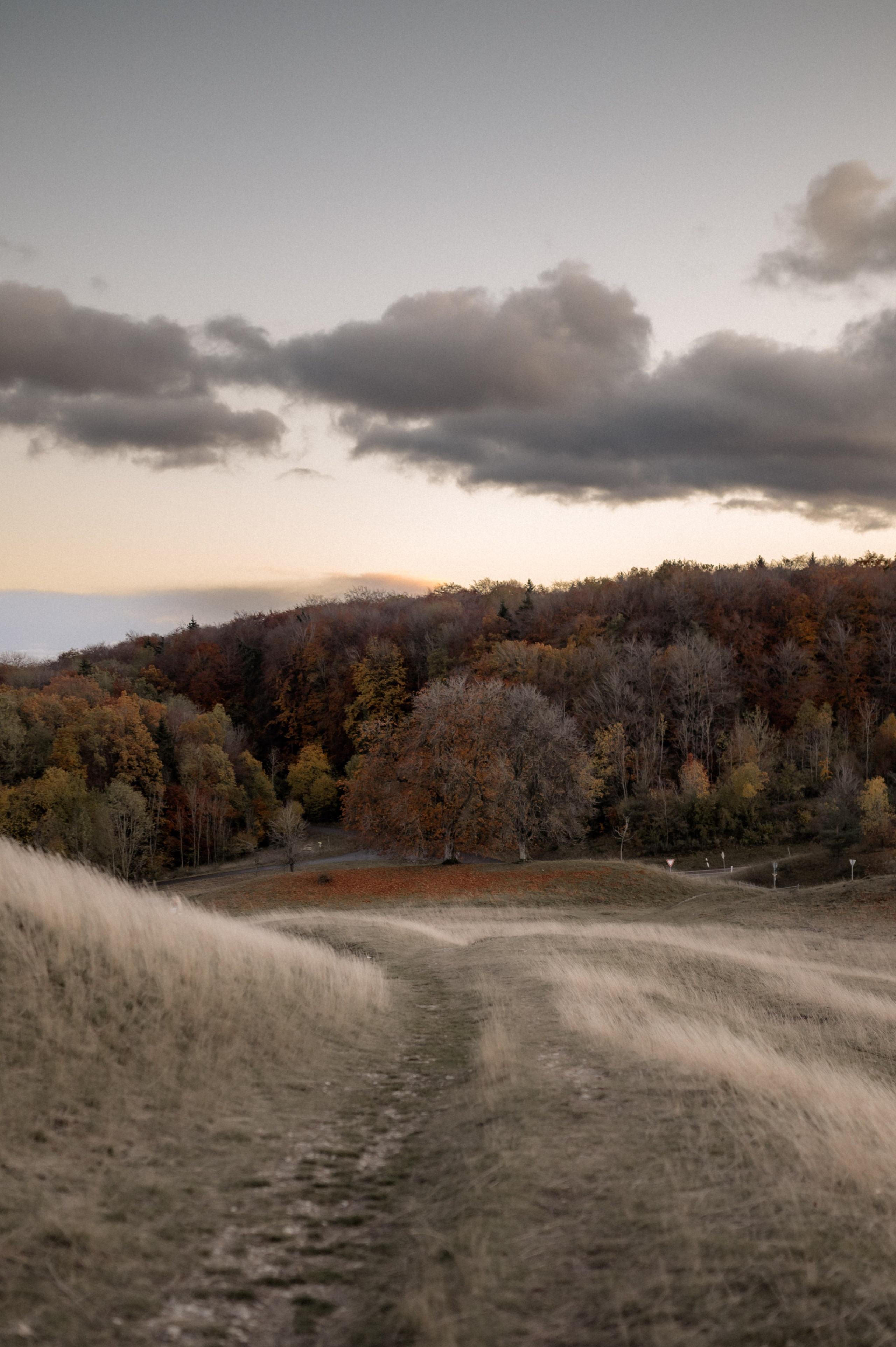 Wenn der Wind flüstert | Paarshooting am Gelben Berg. Фотограф в Нюрнберге Ирина Менерт из Ансбаха