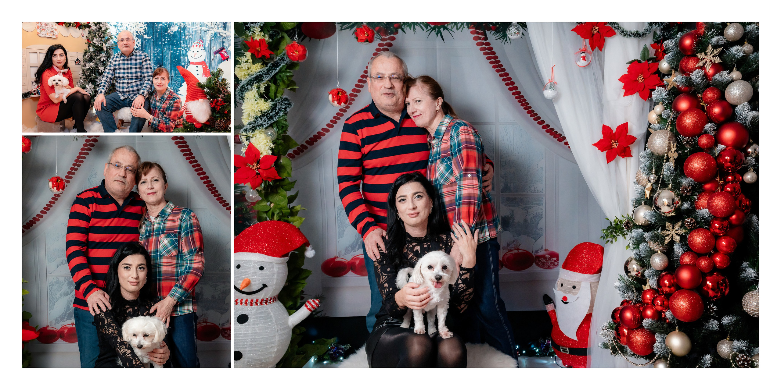 Album Craciun Alexandrina