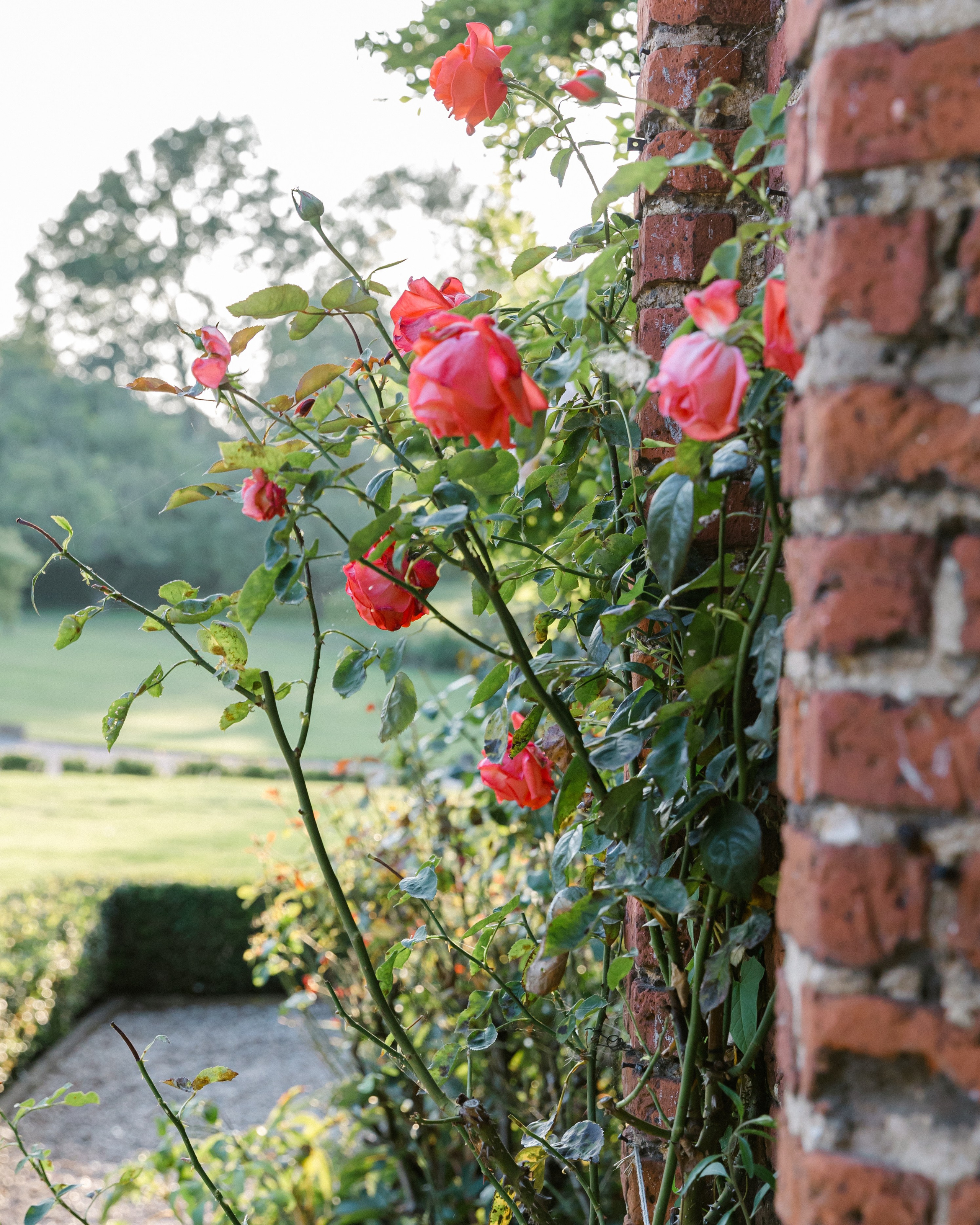 Daniel & Ryan -Leez Priory. September, 2023. Timeless Wedding & Event Photography — based London, working across Europe
