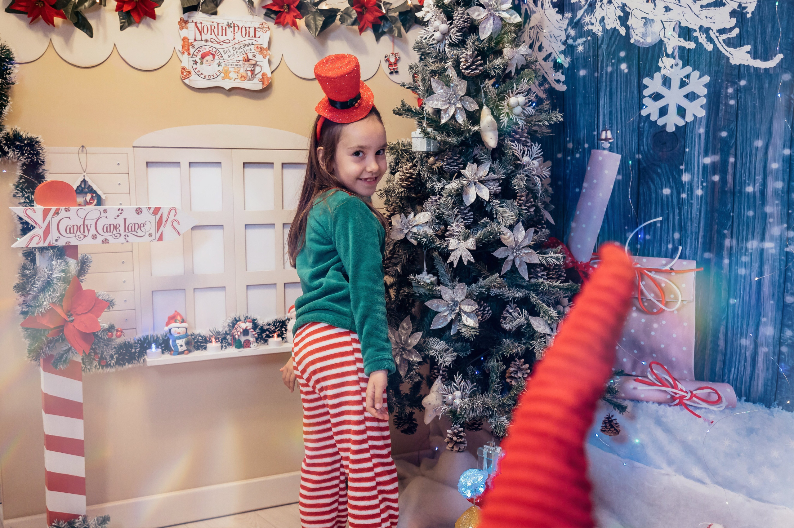 Sedinta Craciun Sofia