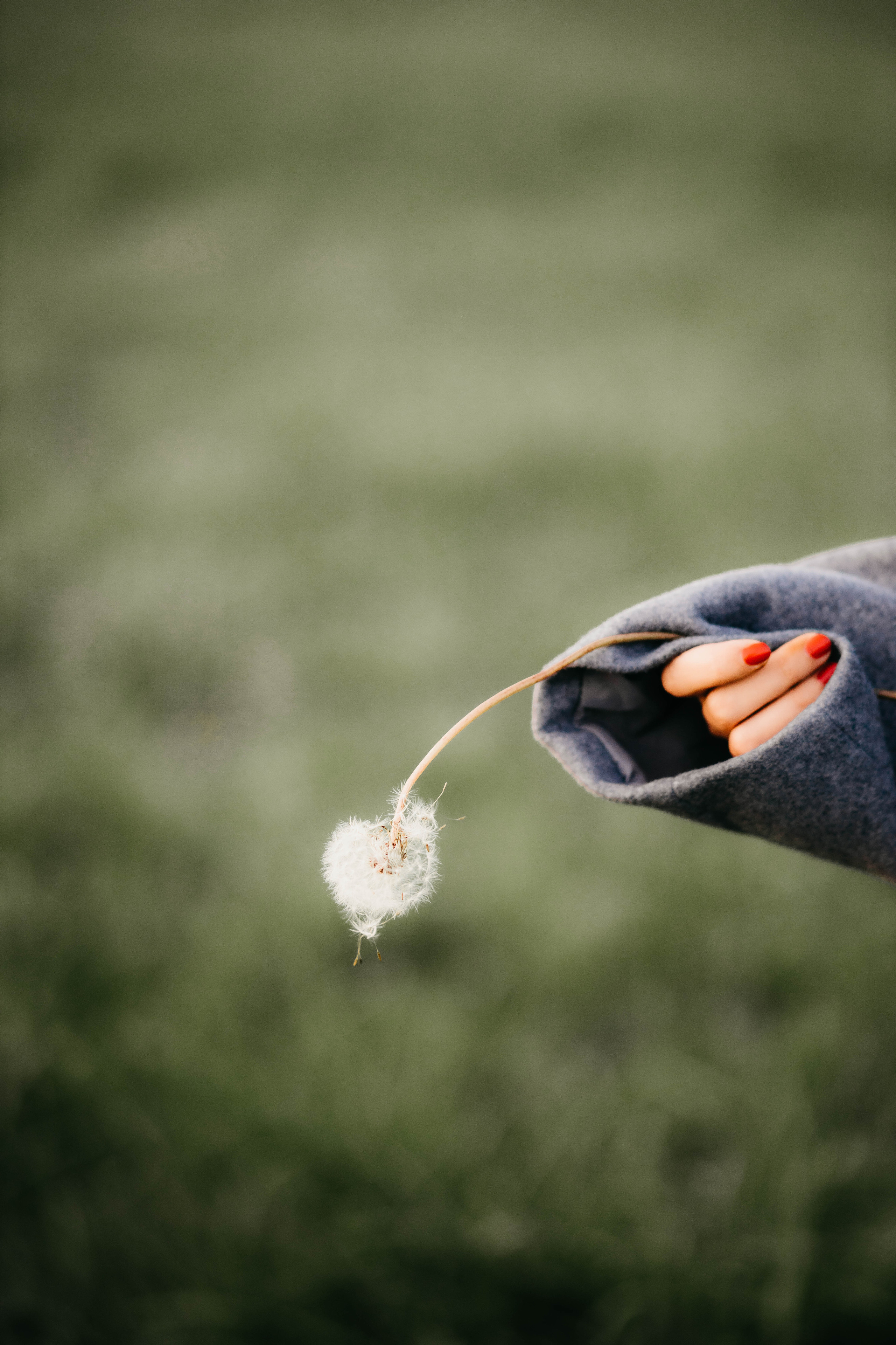 Maria. Photographer in Italy Anna Linnik