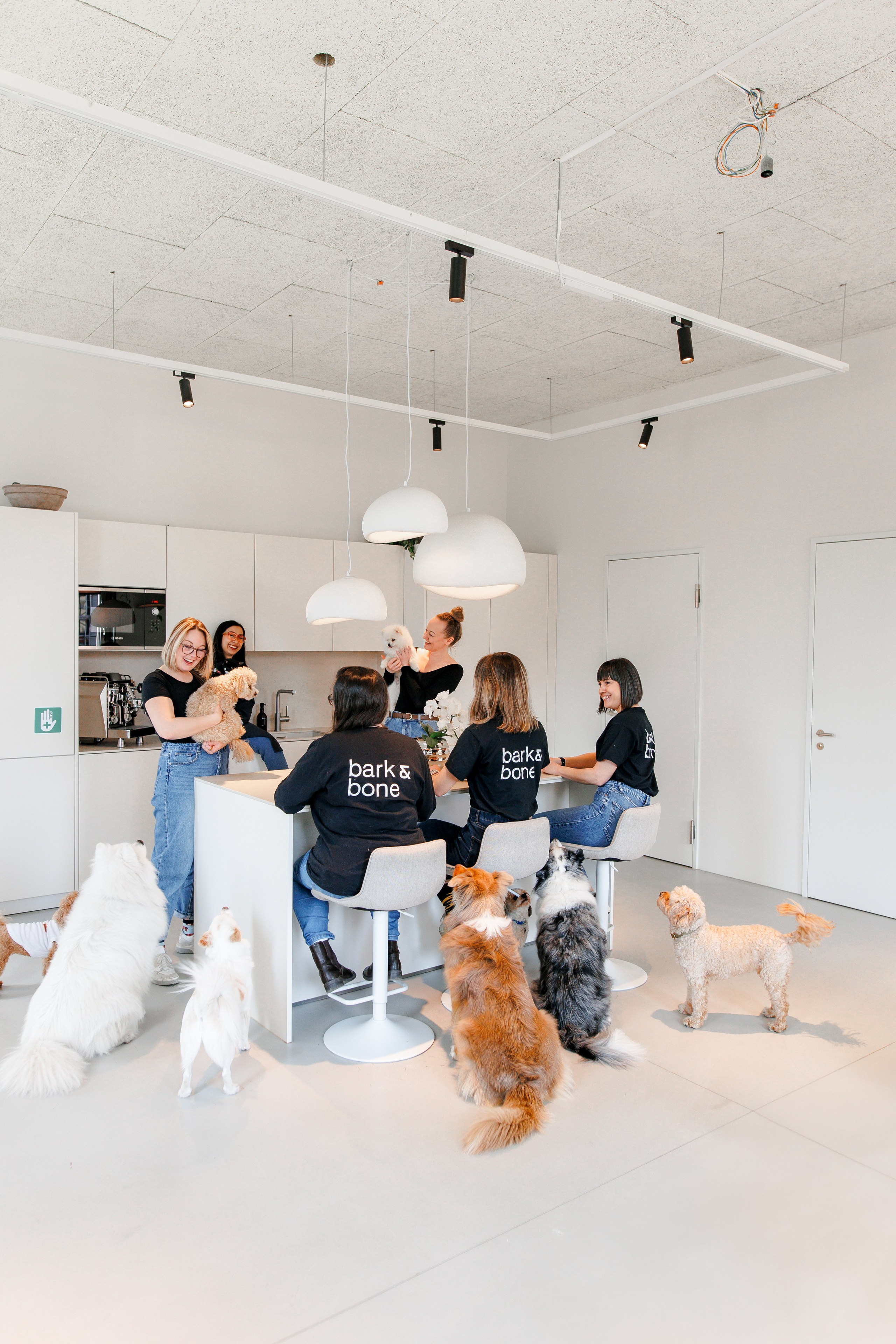 Bark & Bones. Familien- & Hochzeitsfotografin Schweiz. Valeria Diaz in Zürich und Umgebung