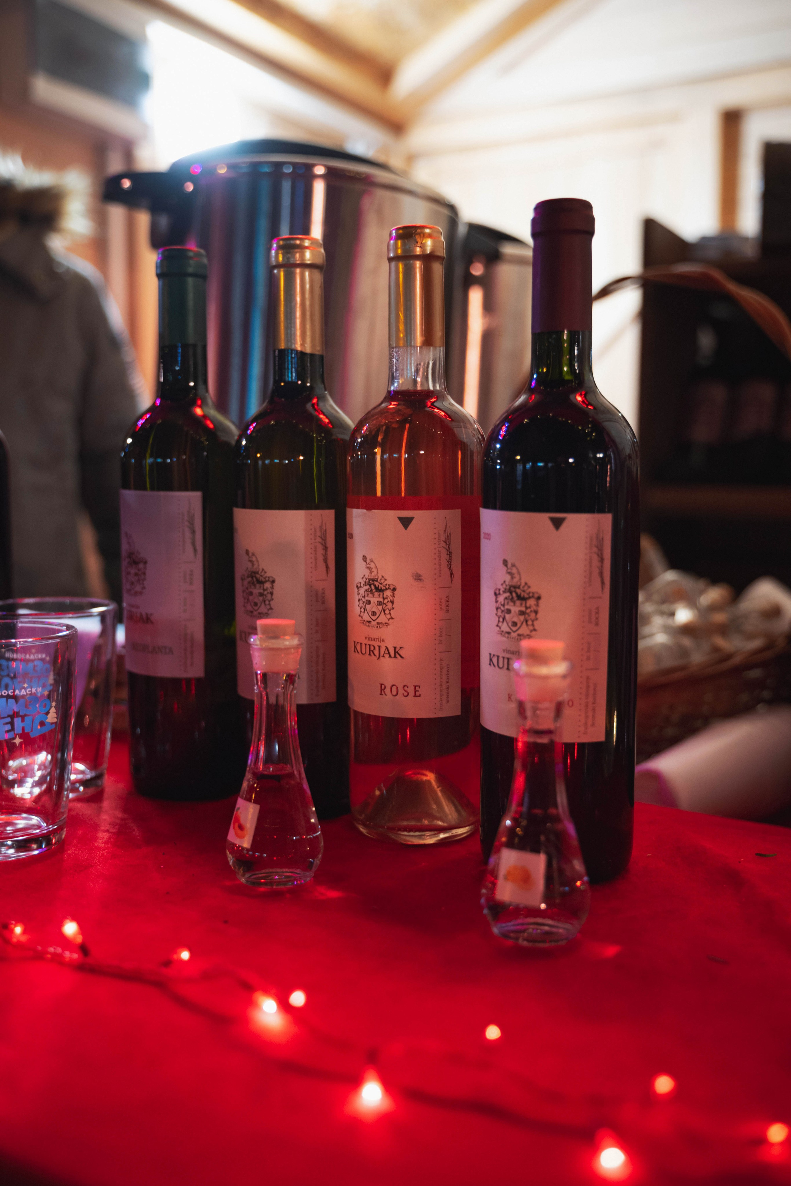 Novosadski Zimzolend. Жуков Студио