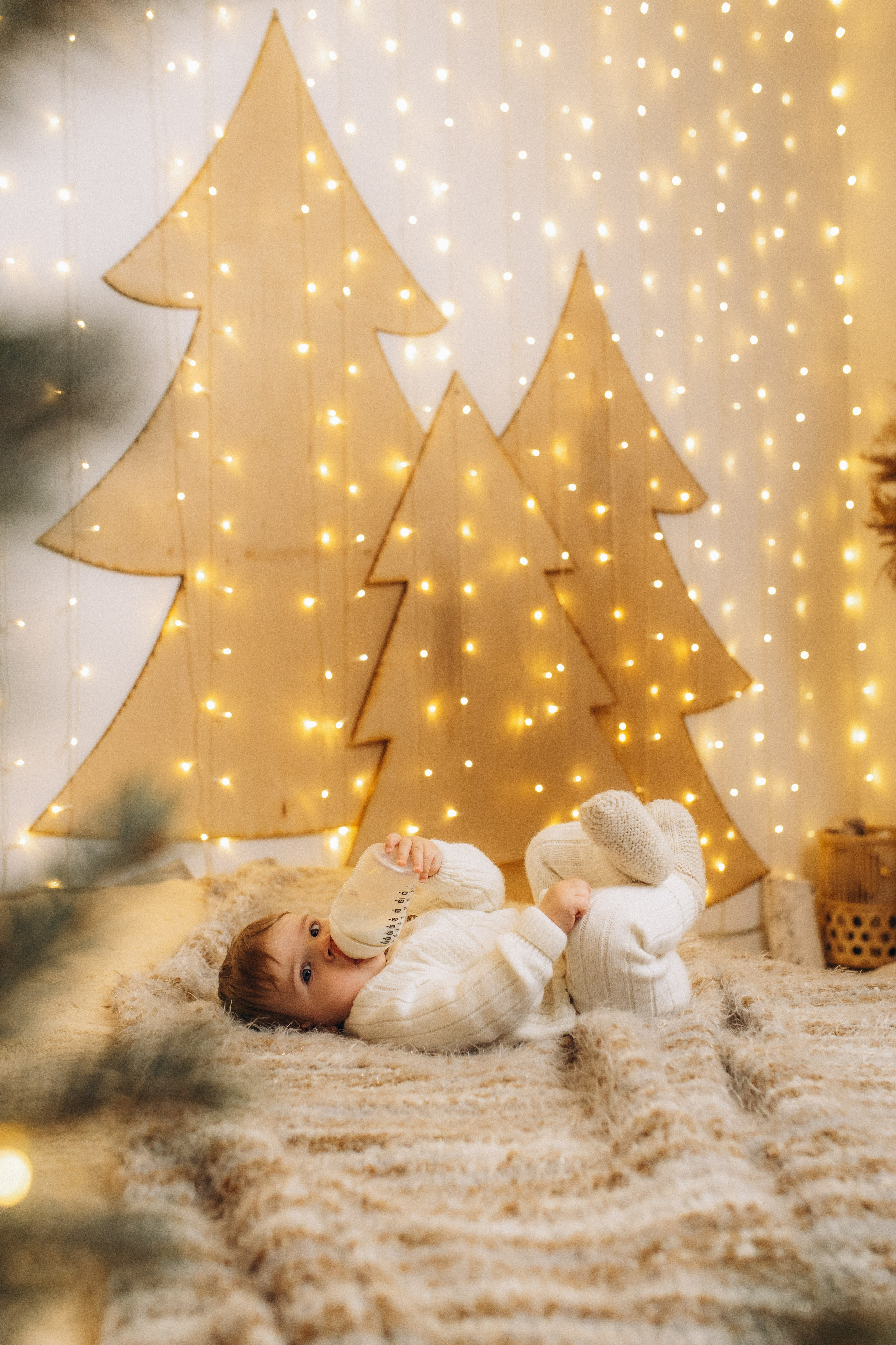 Holiday Season. Home