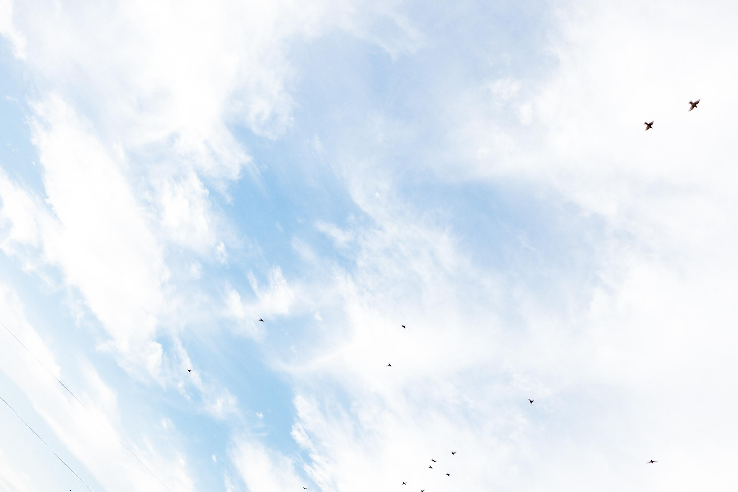 Естественный свет