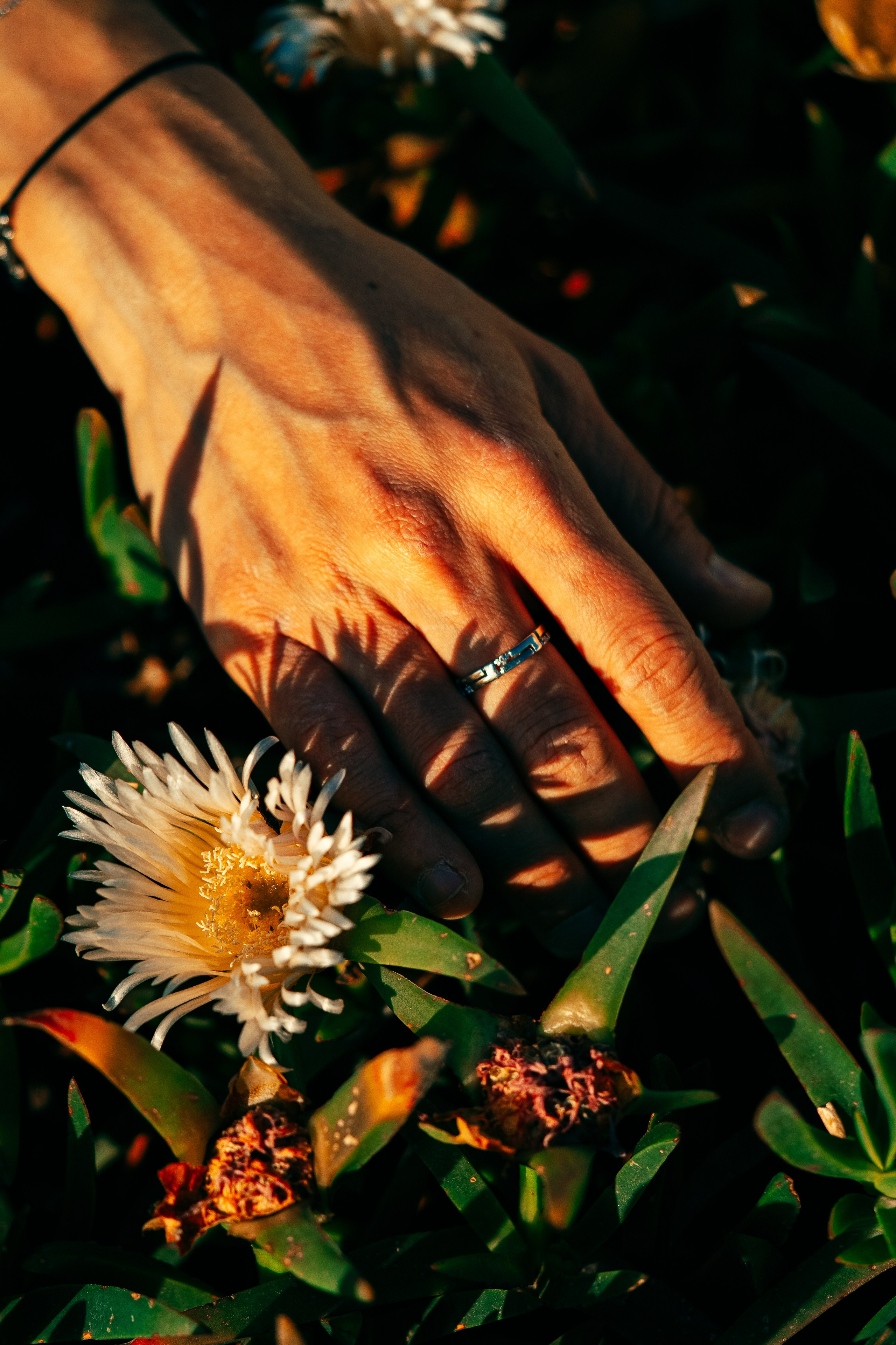 Zenya. Maria Sher. Professional photographer from Porto, Portugal