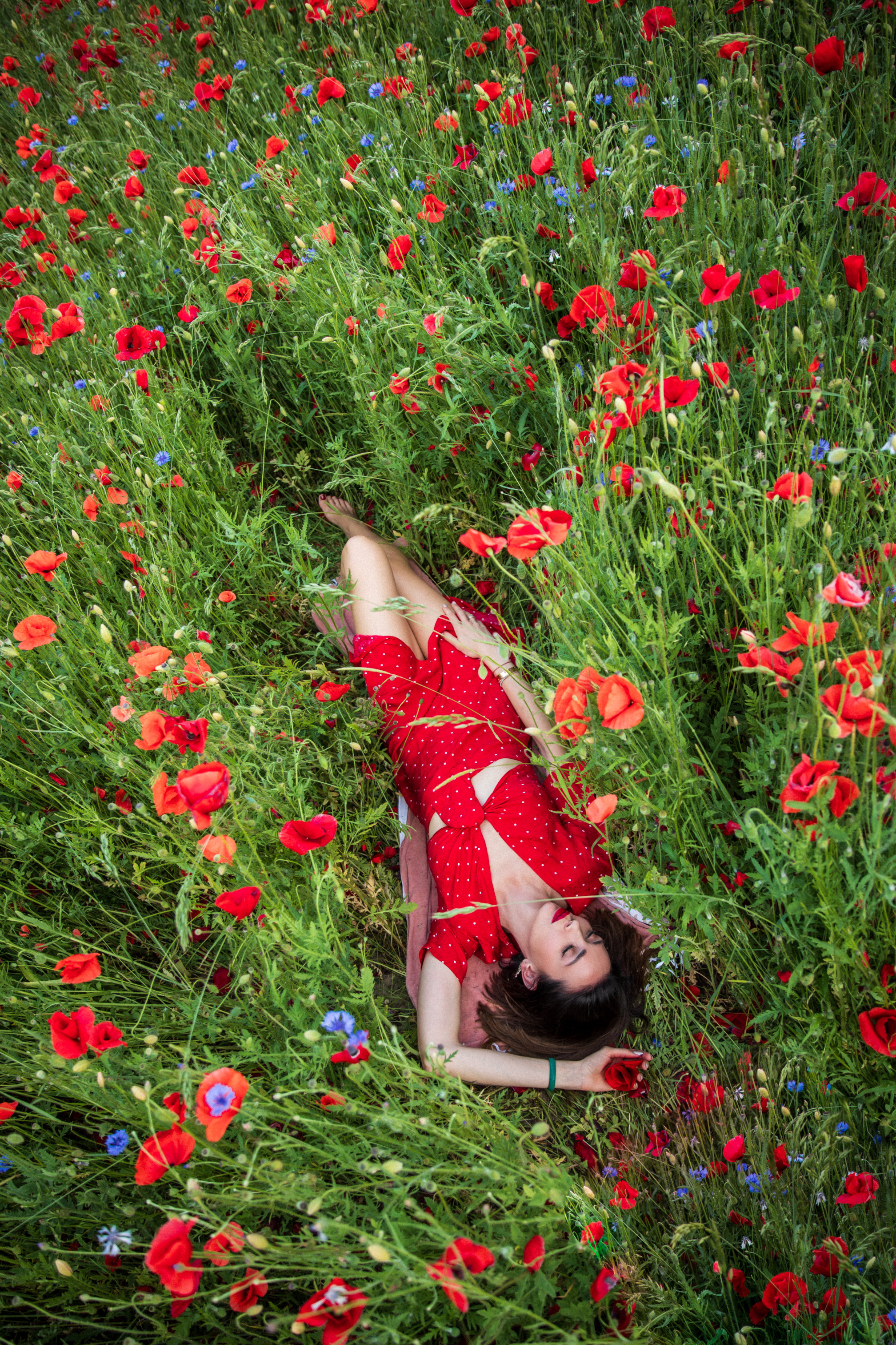 Mohnfeld. Hochzeitfotograf in Bielefeld