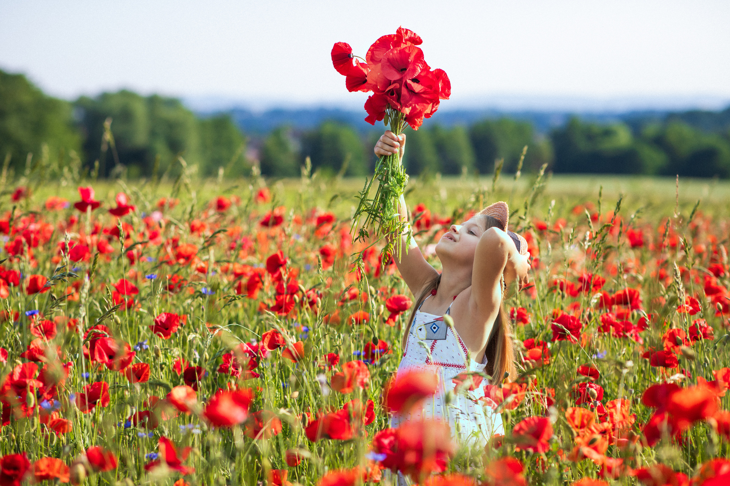 Mohnfeld. Hochzeitfotograf in Bielefeld