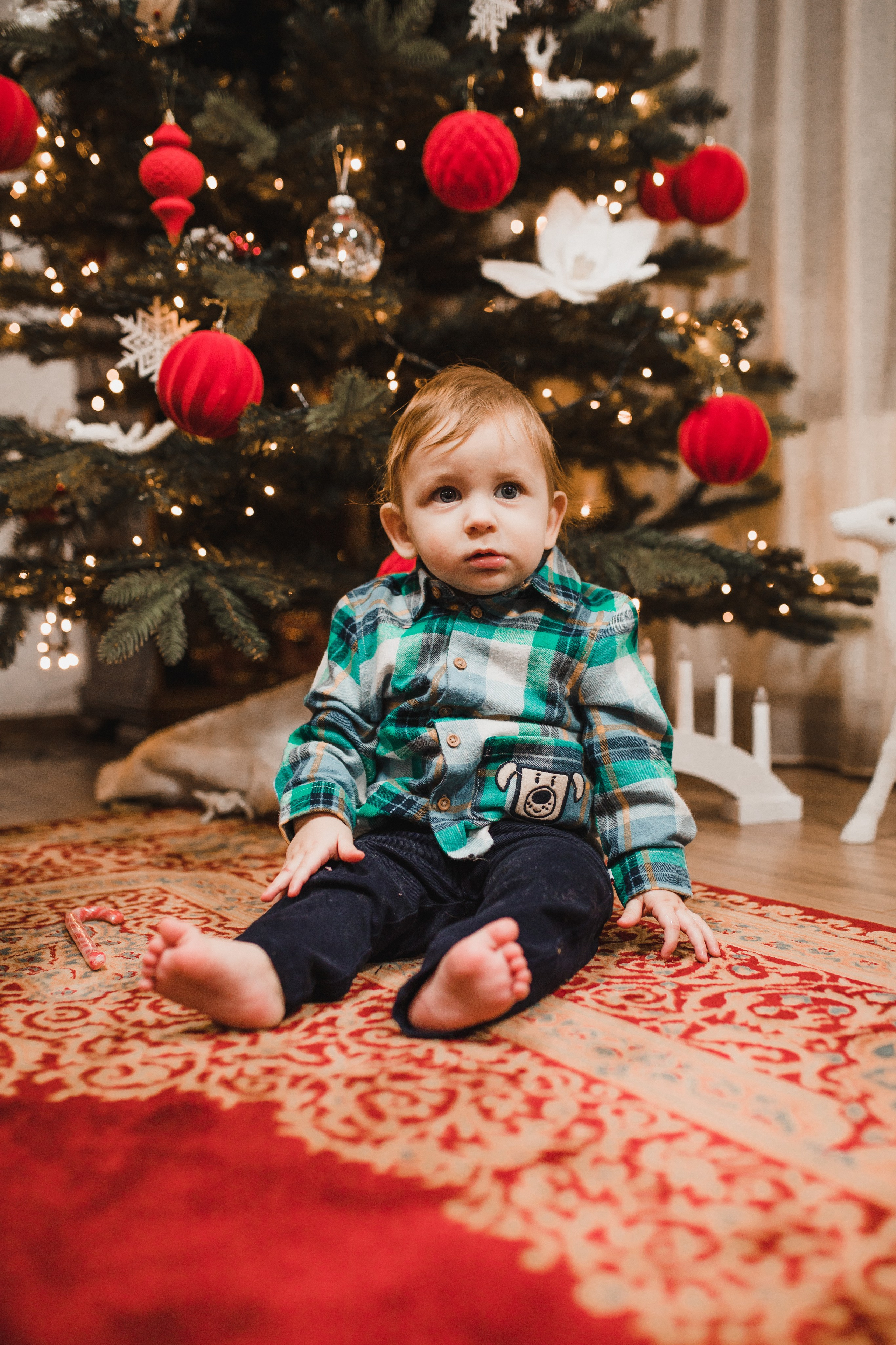 Family. Vlad Aconstantinesei Photographer