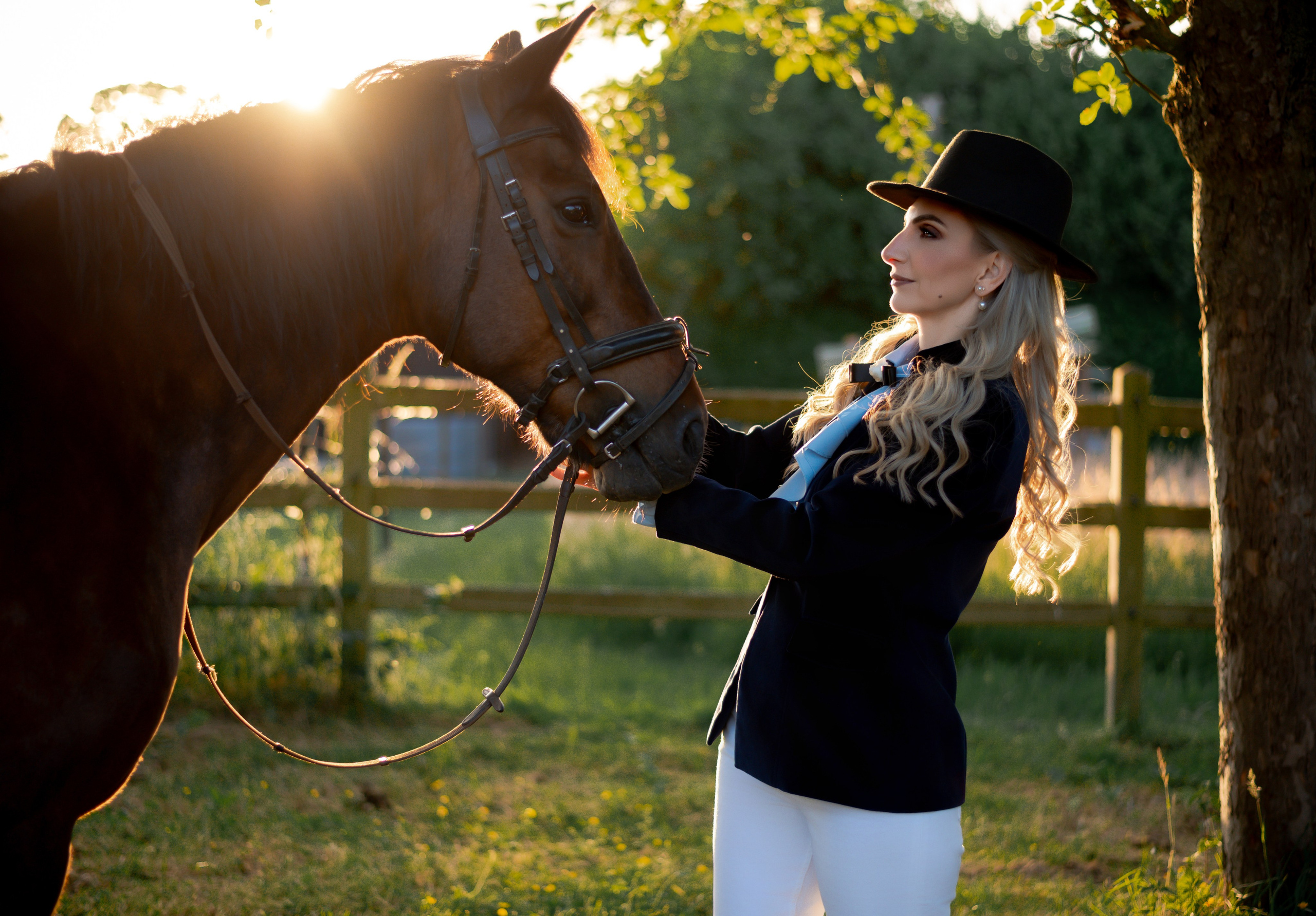 Photoshoot with Horses. Professional Photograher, Antwerpen/Belgium