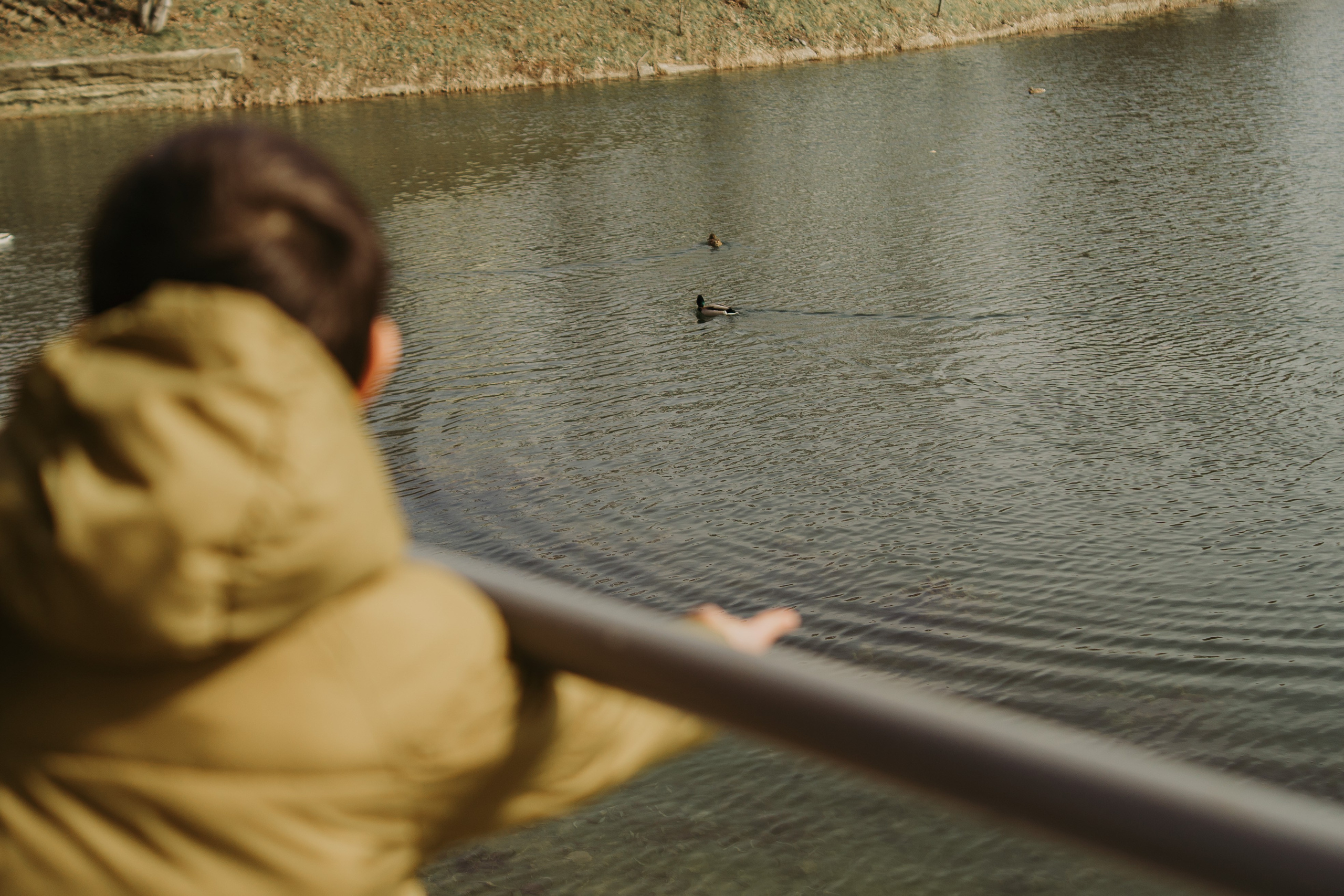 Family Time. Foto-Video Nunta Iasi, Suceava, Bucuresti / Disponibilitate 2025 — 2026 — 2027