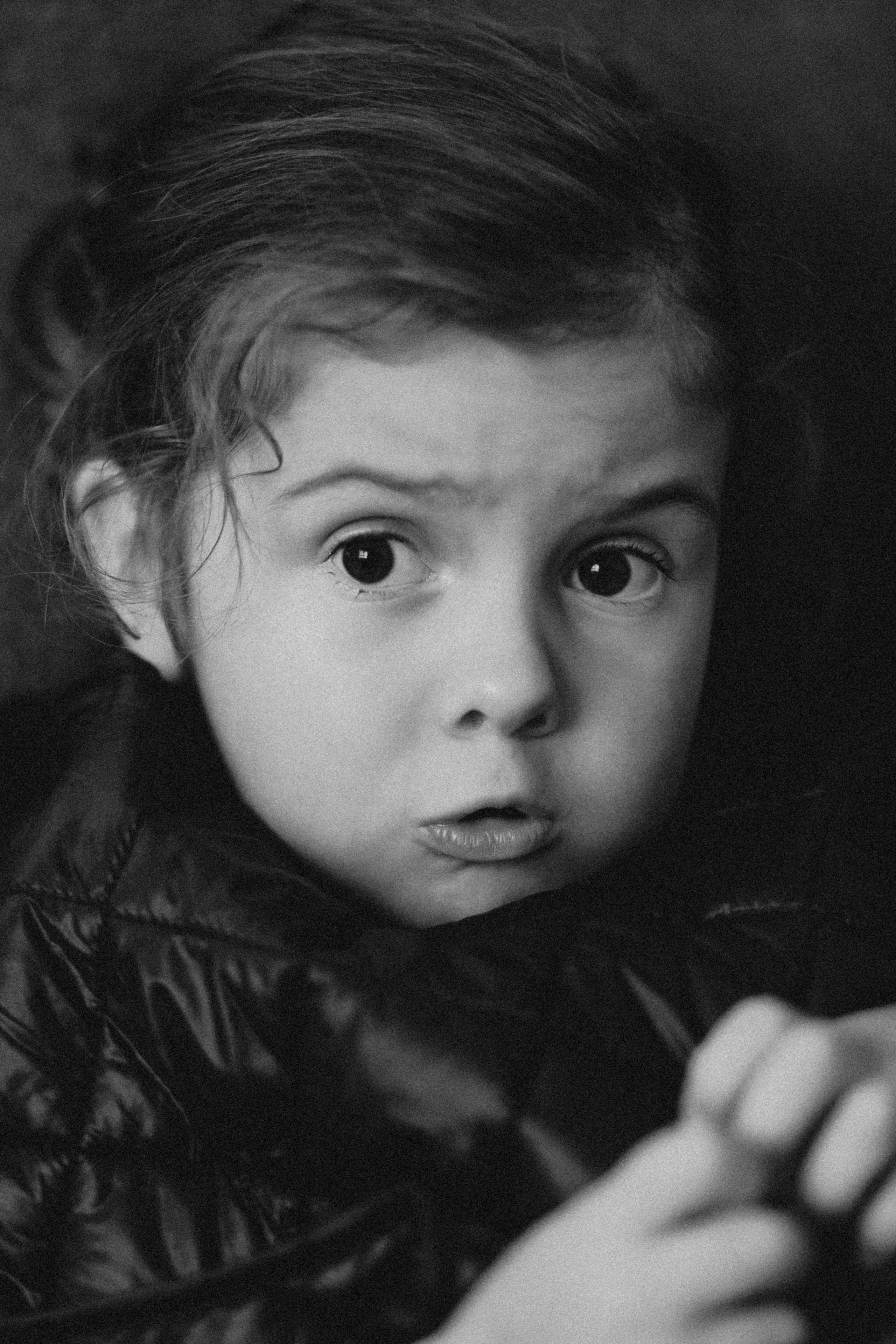 Портреты. Главная