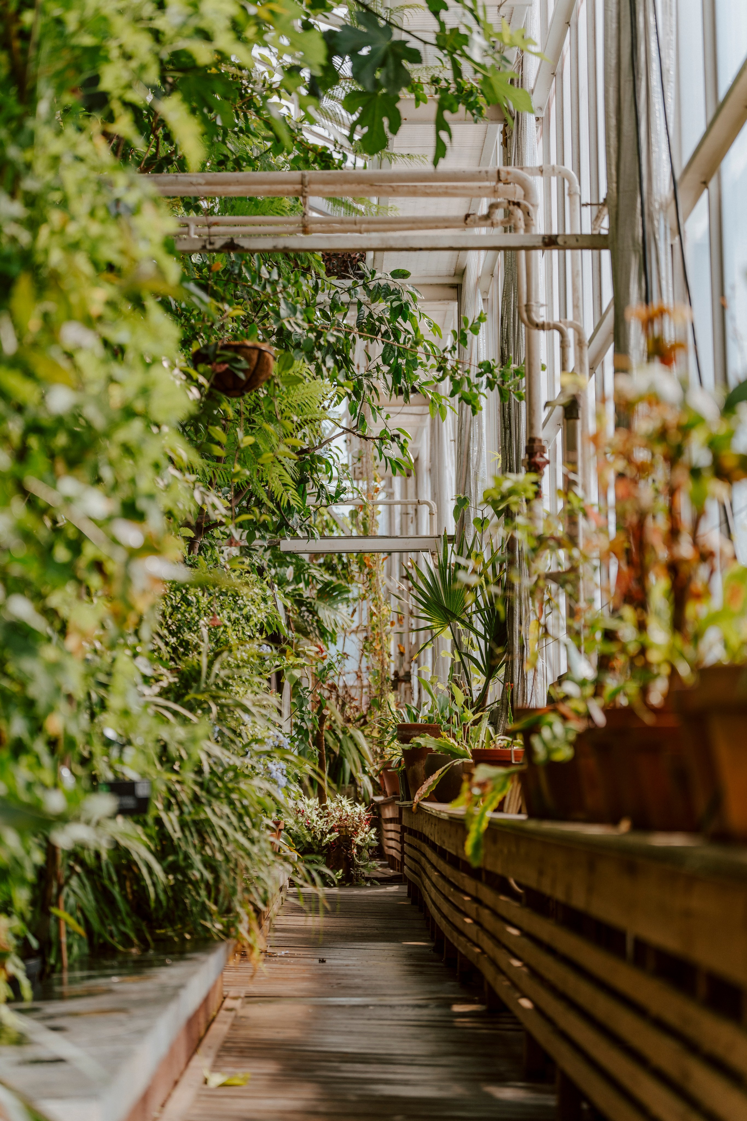 Gallery. Natasha Shakh