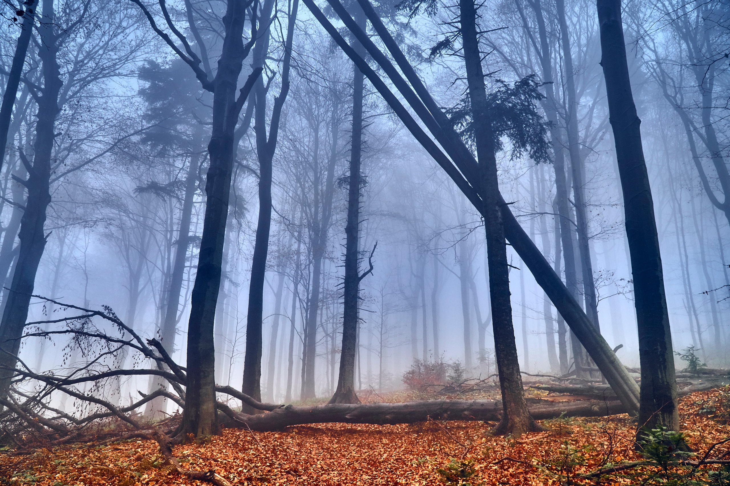 Bieszczady - tu zatrzymuje się czas. Andriej Szypilow - Fotografia & Wideografia