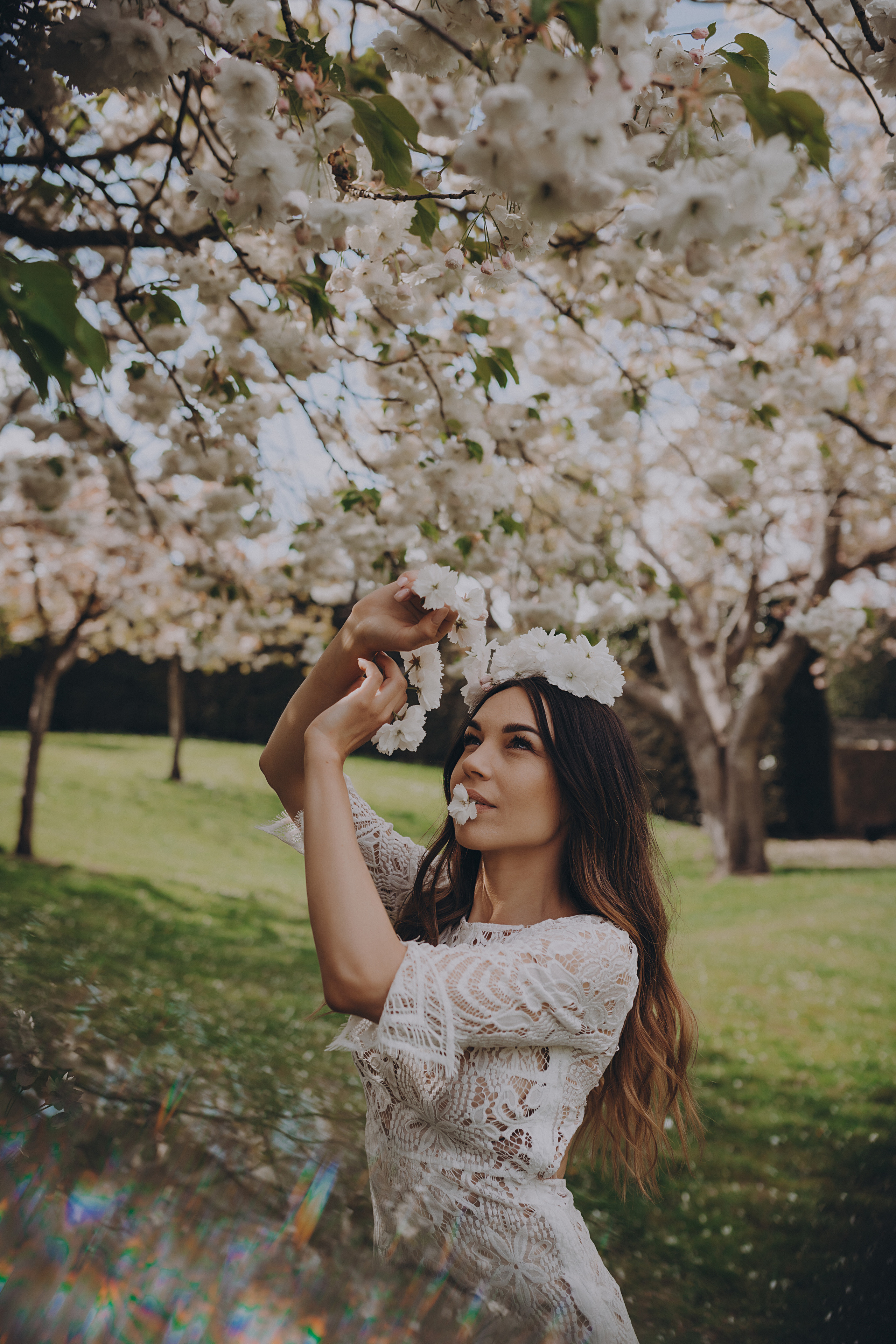 In bloom. Maternity/Love story/Wedding photographer
