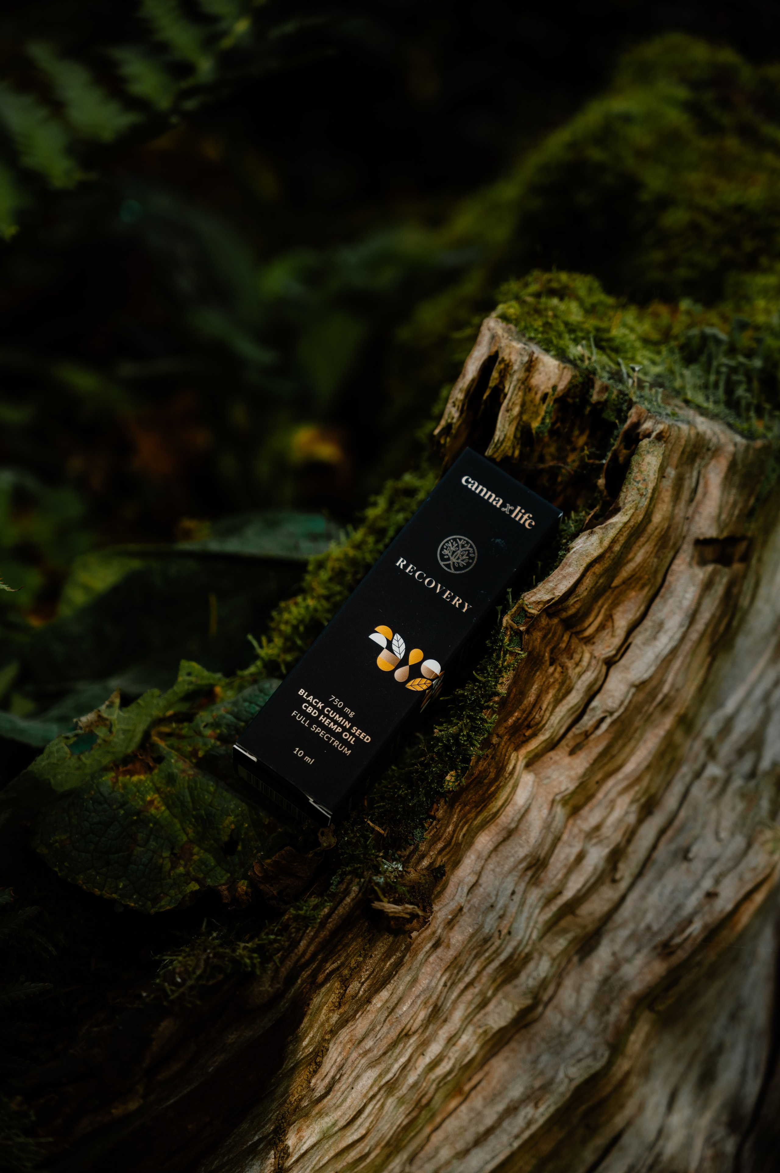 CannaXlife CBD products. ANNA-MARIA PHOTO CONTENT CREATOR — фотограф, естет, художник і візуальний експерт Instagram у Празі