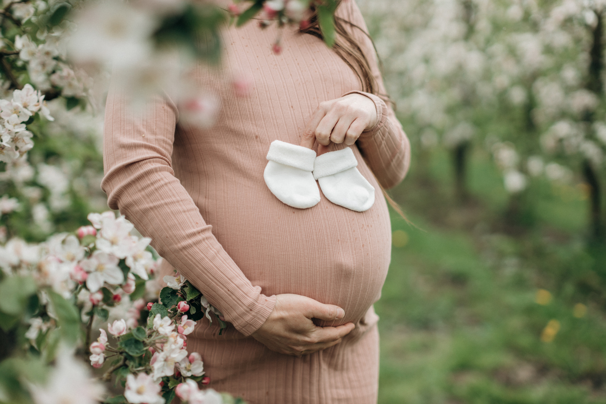 Babybauch-Fotoshooting in den blühenden Apfelplantagen des Alten Landes. Maria Chistyakovа — Fotografin in Karlsruhe, Baden-Baden und Umgebung