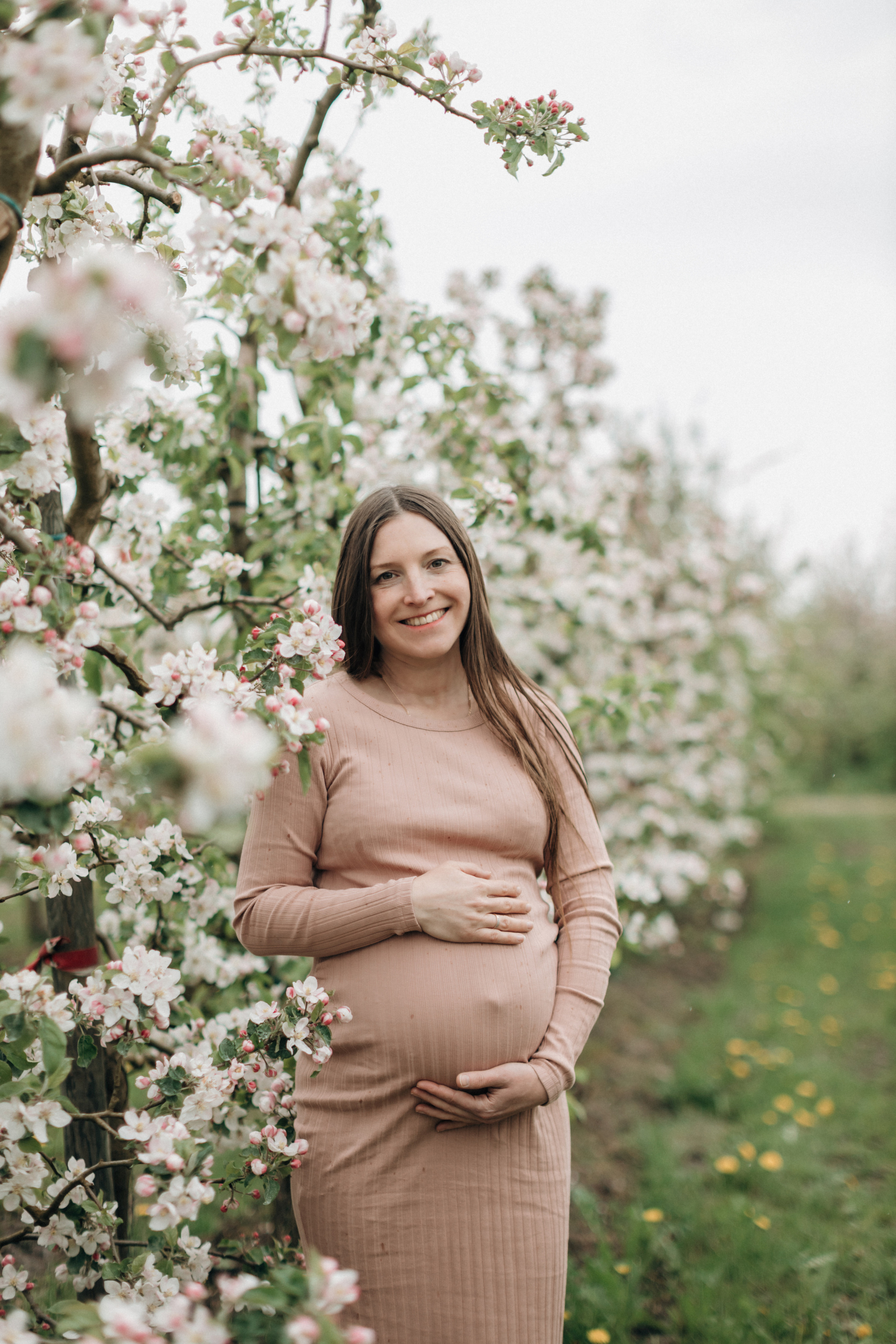 Babybauch-Fotoshooting in den blühenden Apfelplantagen des Alten Landes. Maria Chistyakovа — Fotografin in Karlsruhe, Baden-Baden und Umgebung