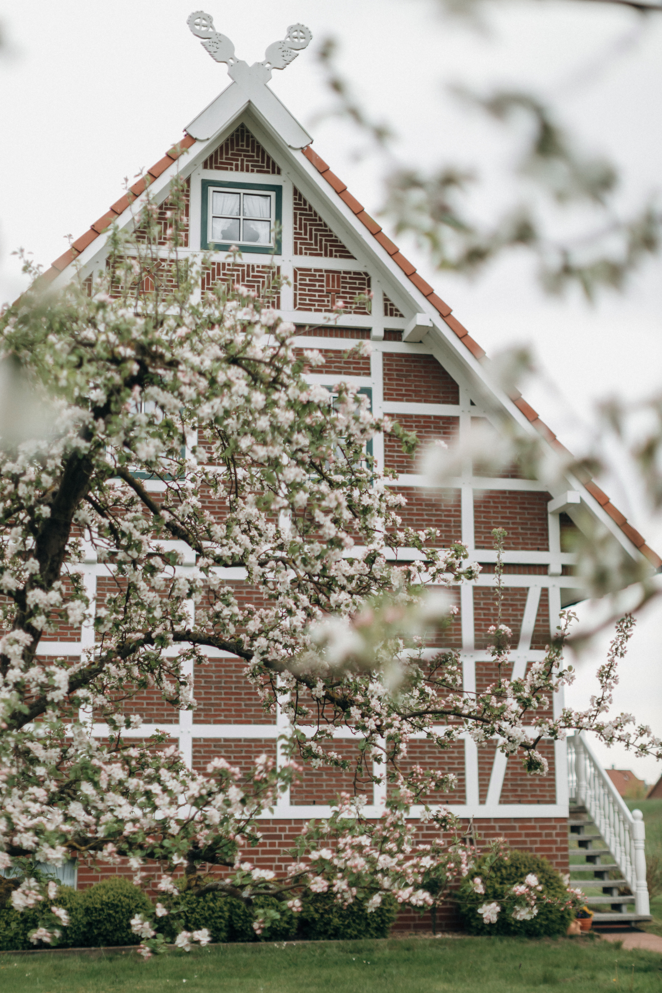 Babybauch-Fotoshooting in den blühenden Apfelplantagen des Alten Landes. Maria Chistyakovа — Fotografin in Karlsruhe, Baden-Baden und Umgebung