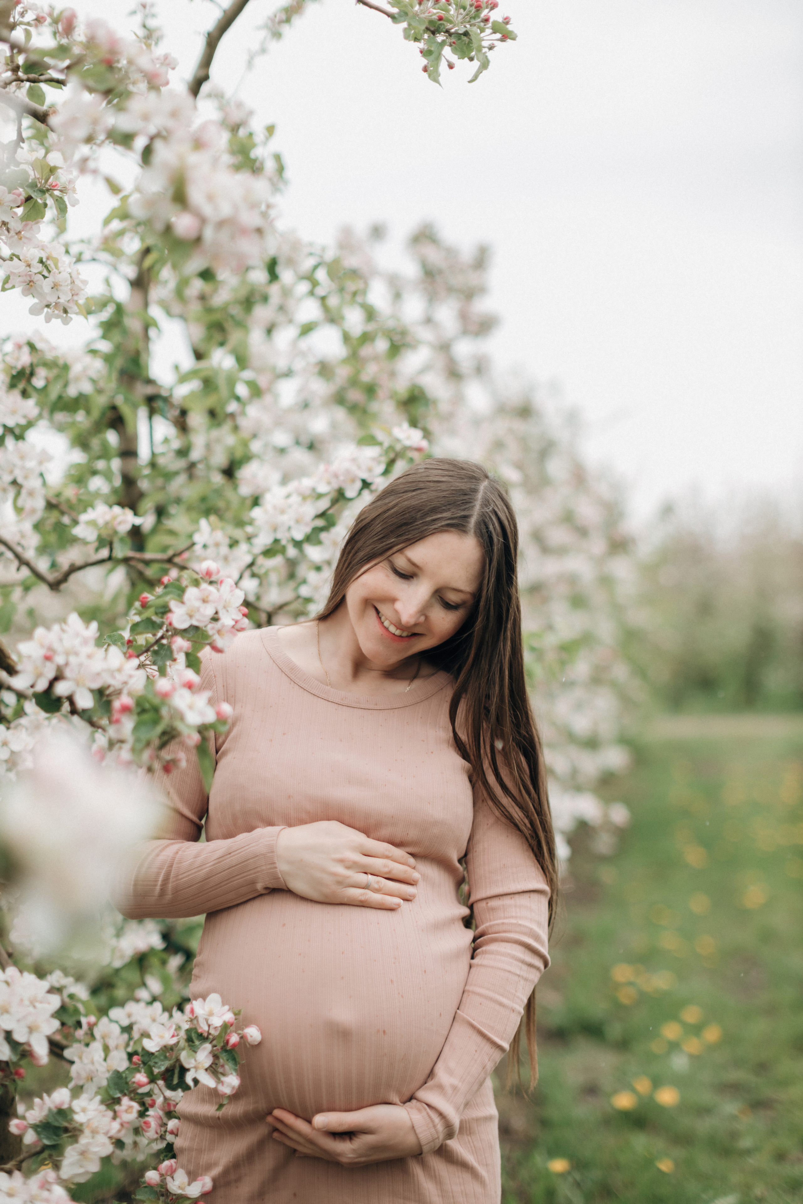 Babybauch-Fotoshooting in den blühenden Apfelplantagen des Alten Landes. Maria Chistyakovа — Fotografin in Karlsruhe, Baden-Baden und Umgebung
